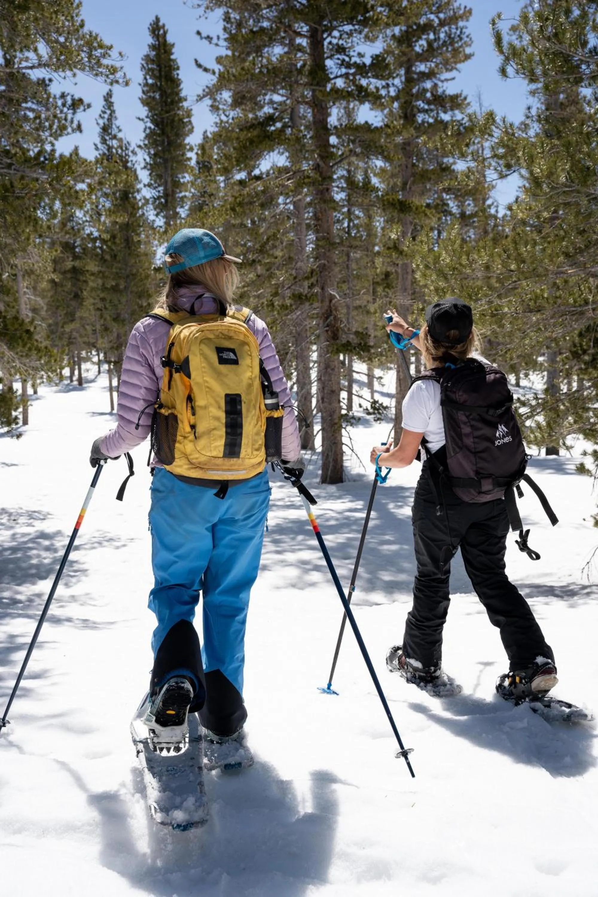 Activities in The Incline Lodge