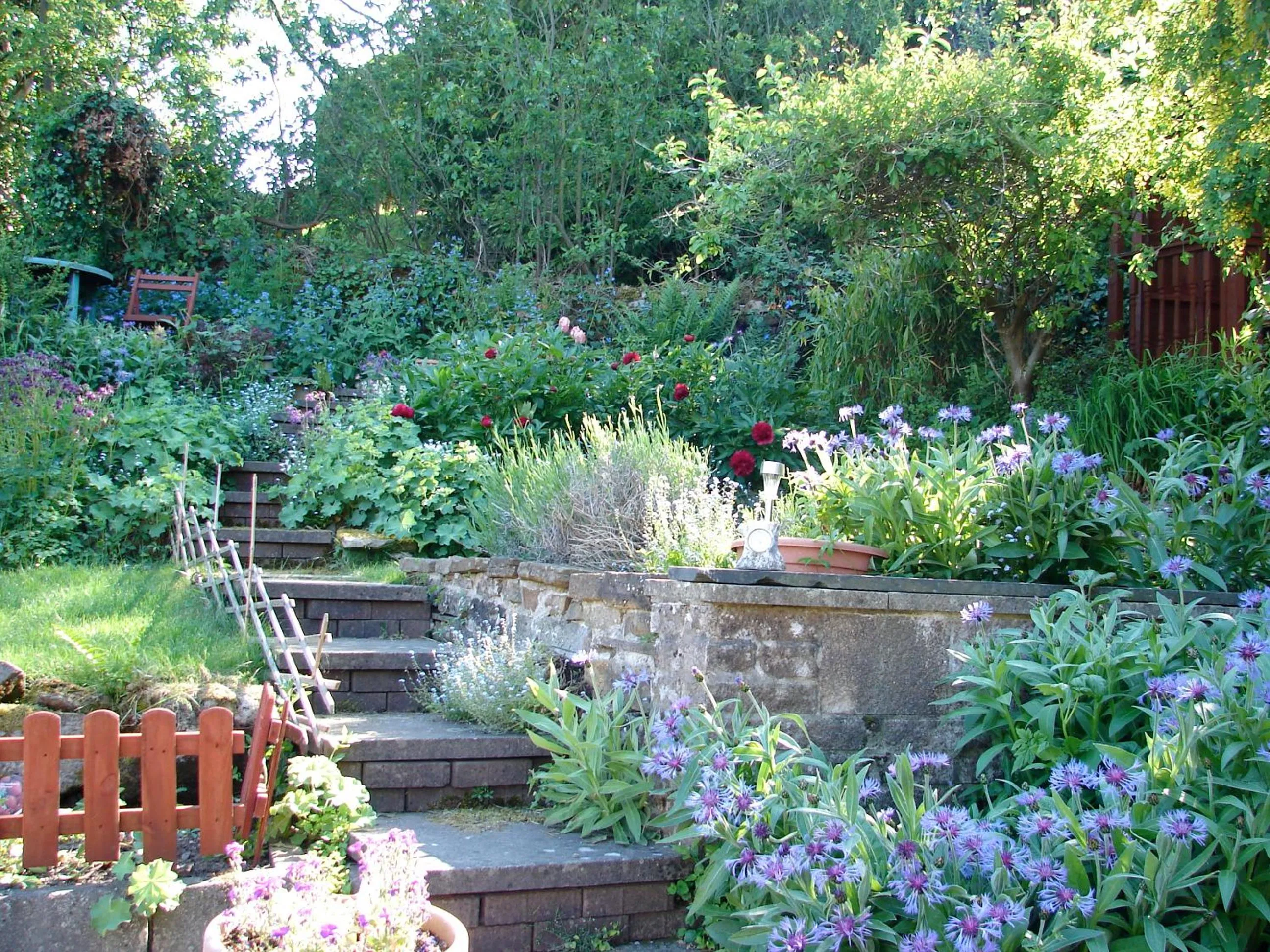 Garden in Ellen House Bed and Breakfast