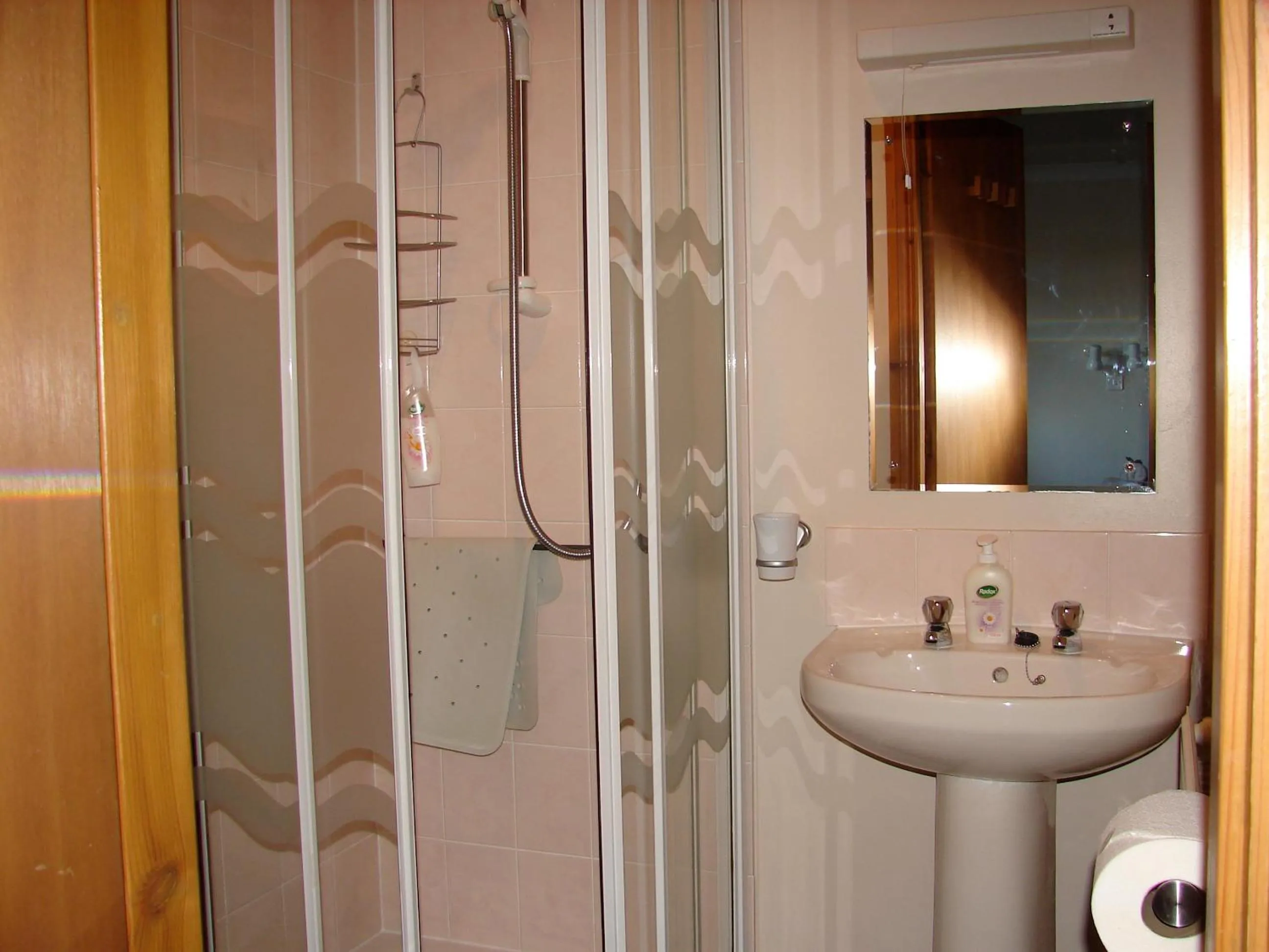 Shower in Ellen House Bed and Breakfast