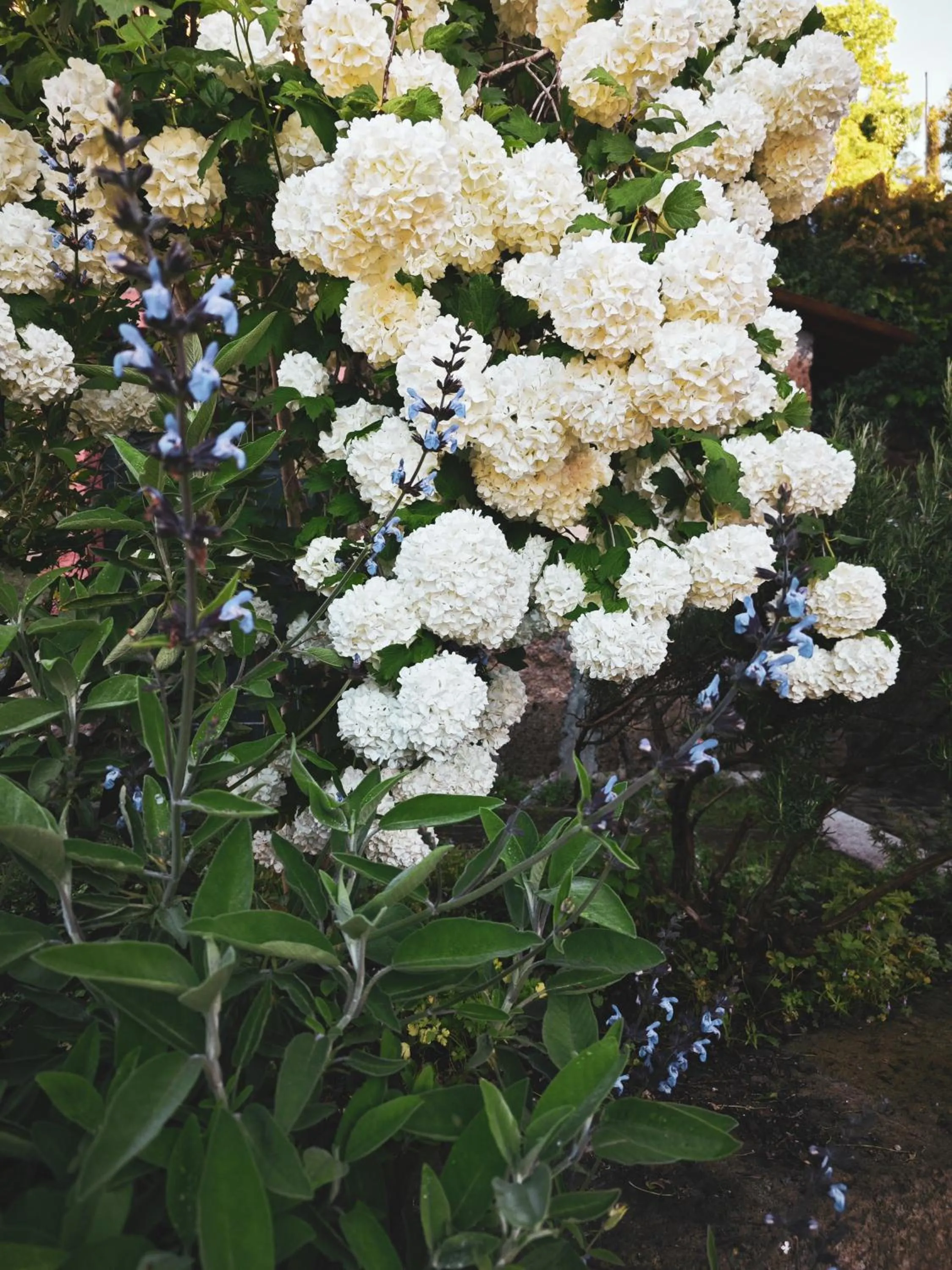 Decorative detail in La Casa dei Carrai