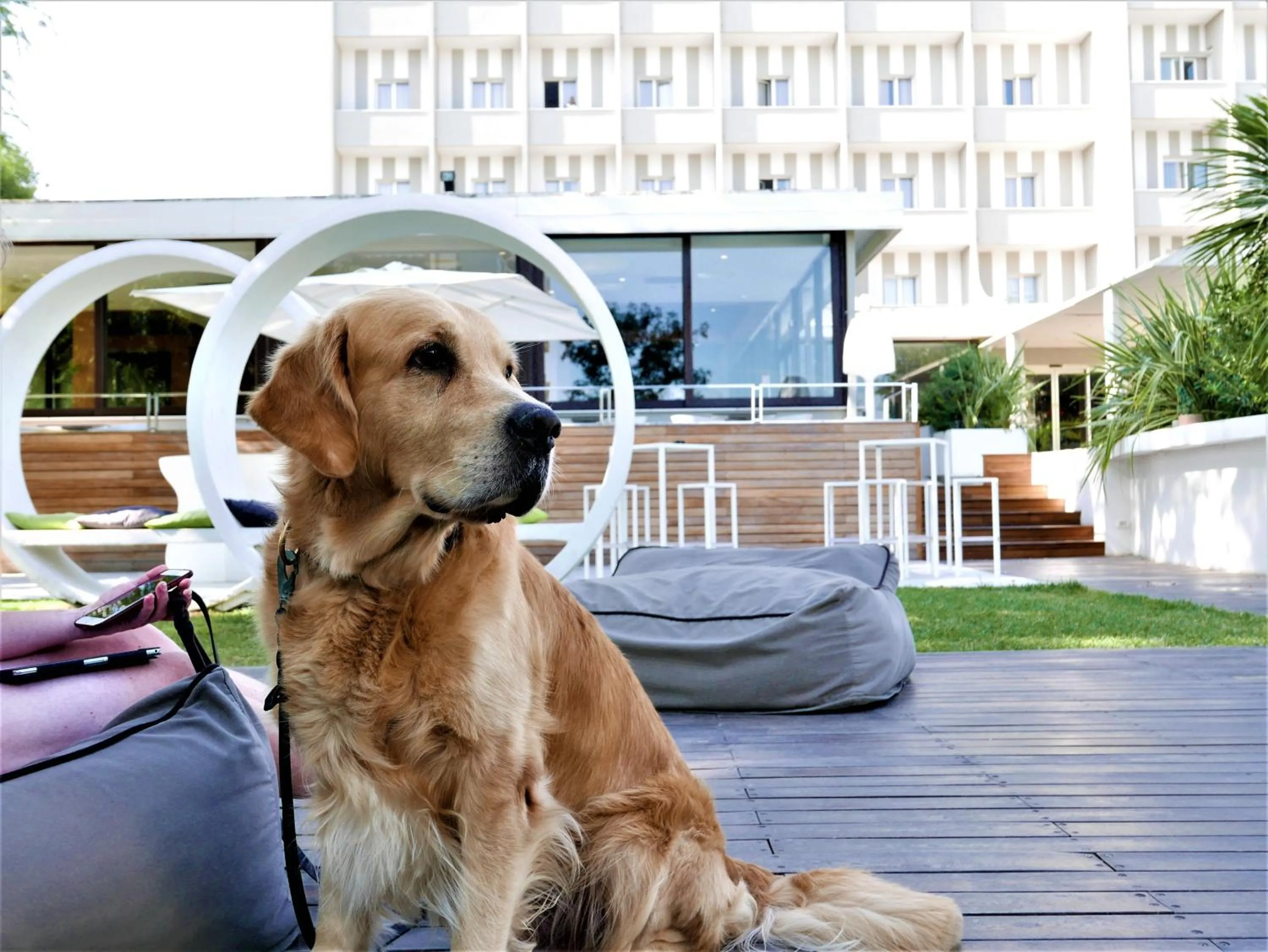 Pets in Oxygen Lifestyle Hotel