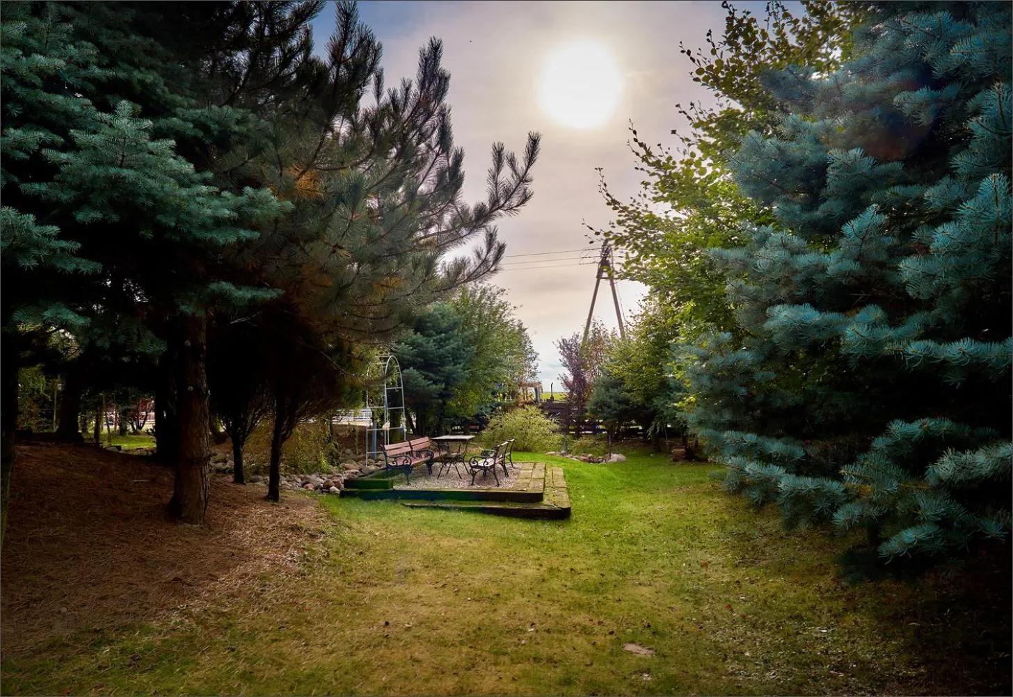 Garden in Hotel Biesiada