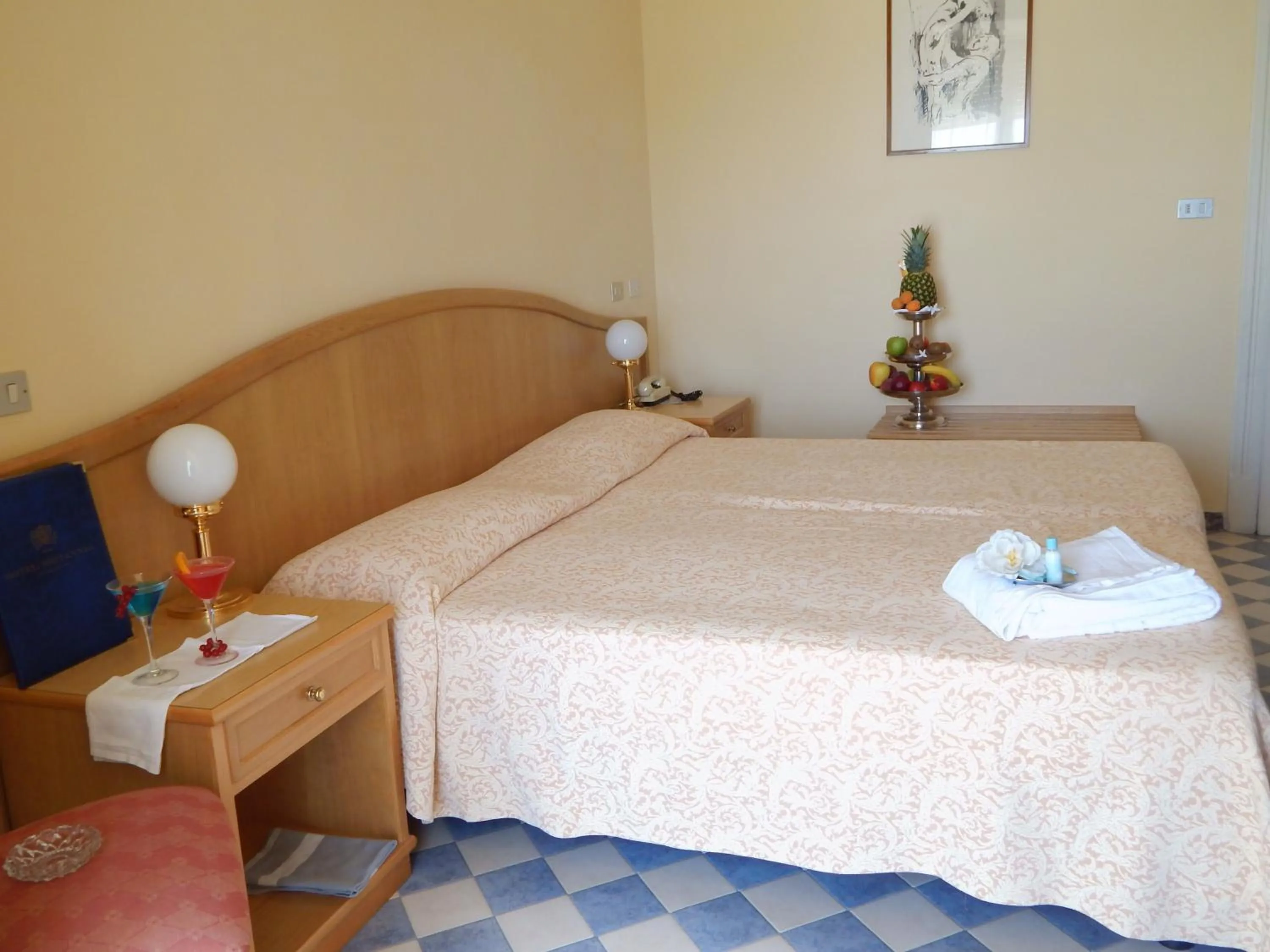 Photo of the whole room in Hotel Britannia