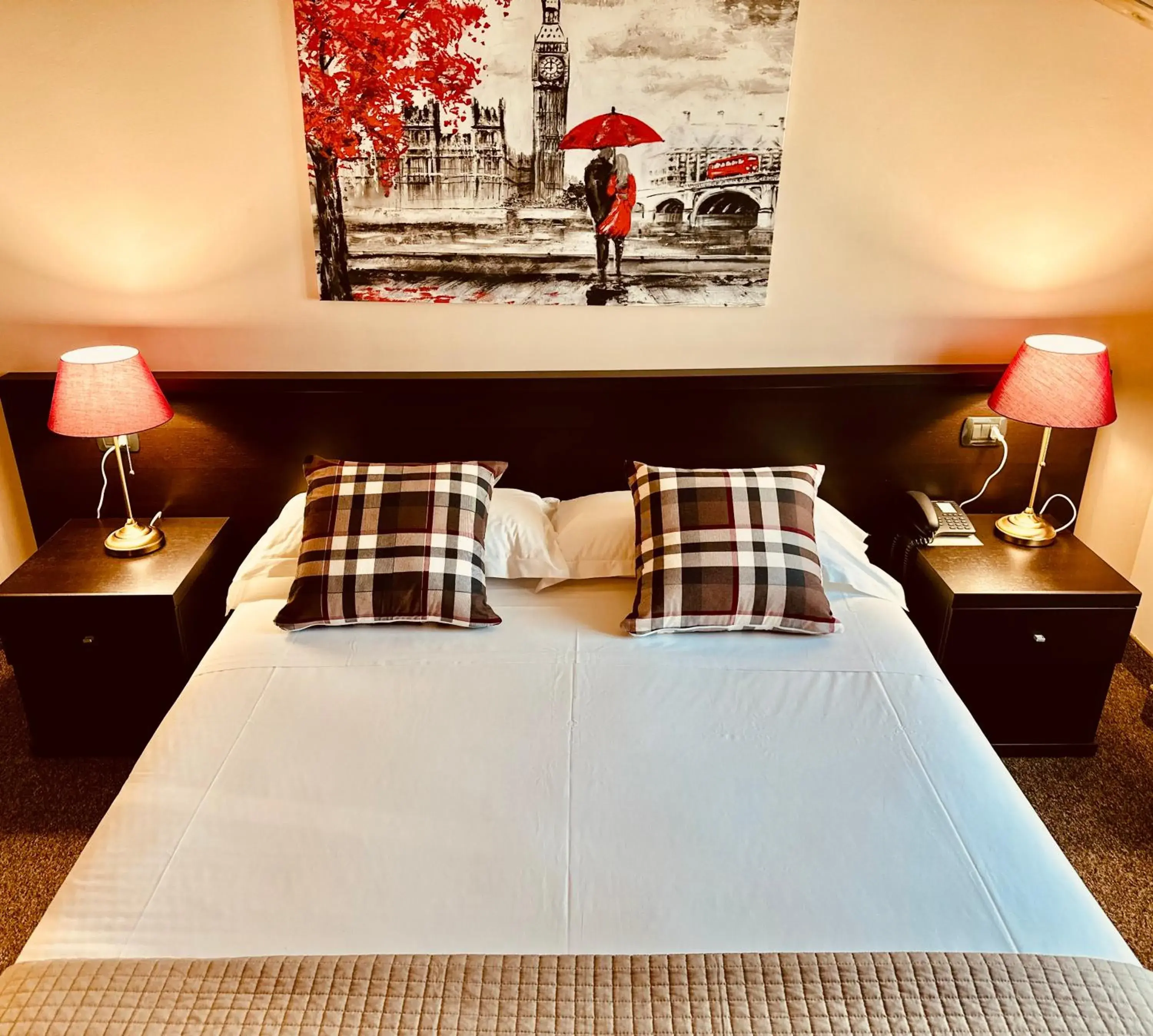 Large Double Room - single occupancy in Hotel Malpensa INN Aereoporto Large Double Room - single occupancy in Hotel Malpensa INN Aereoporto