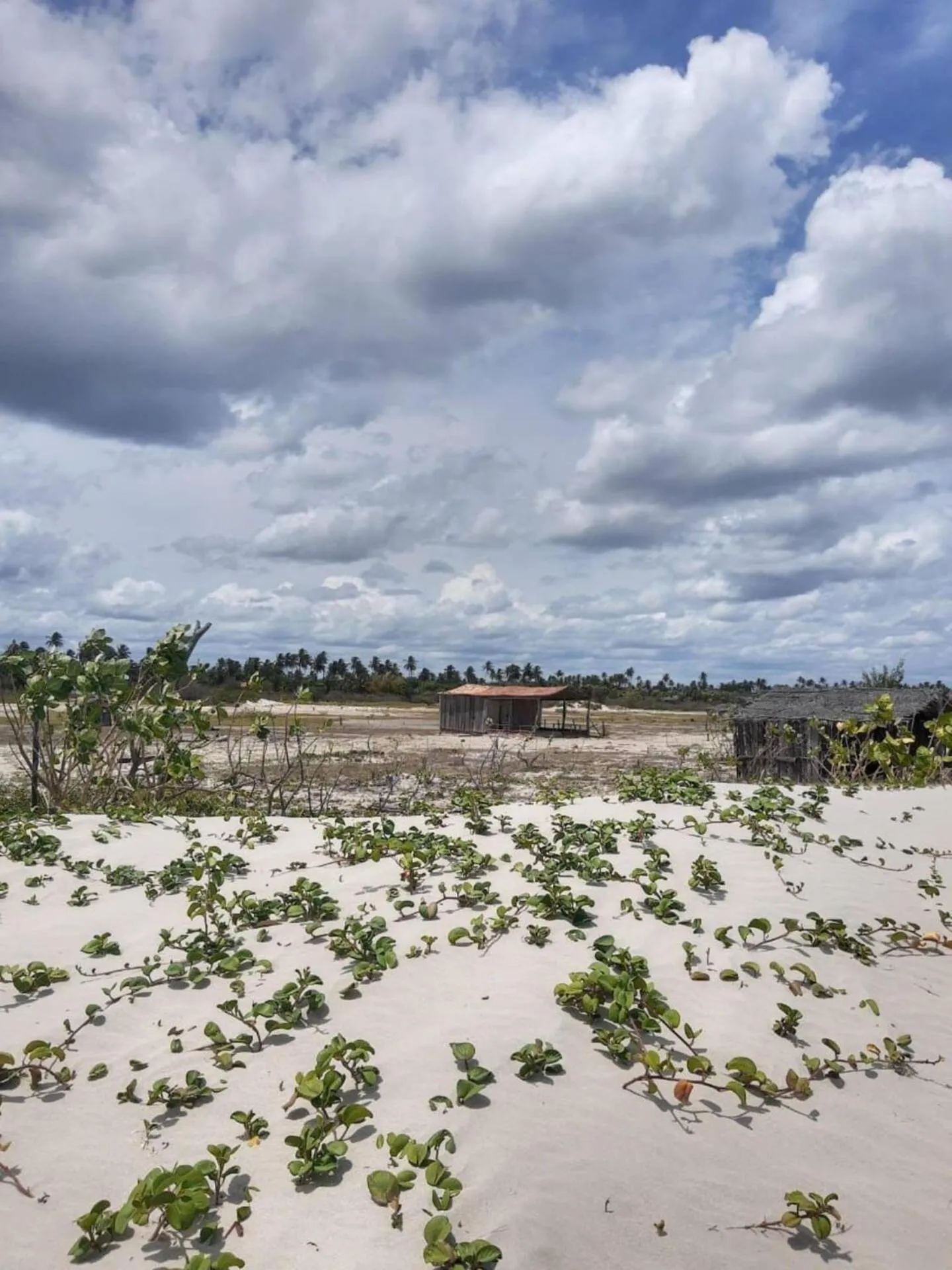 Off site in Chalés Caminho dos Ventos em Barrinha de Baixo, CE, 9km do Preá