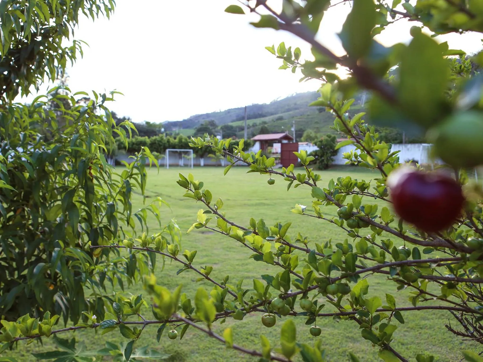 Garden in Pousada Vale da Montanha