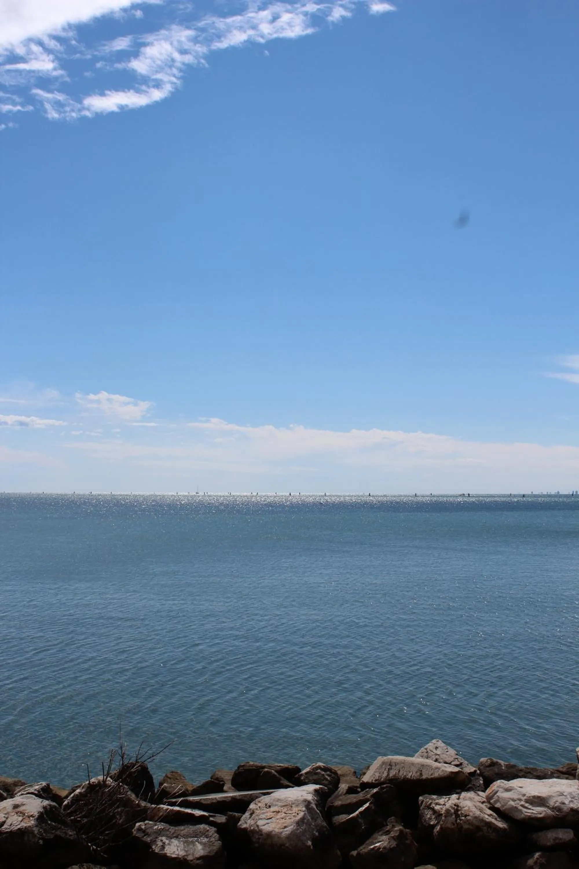 Natural landscape in Hotel Marea