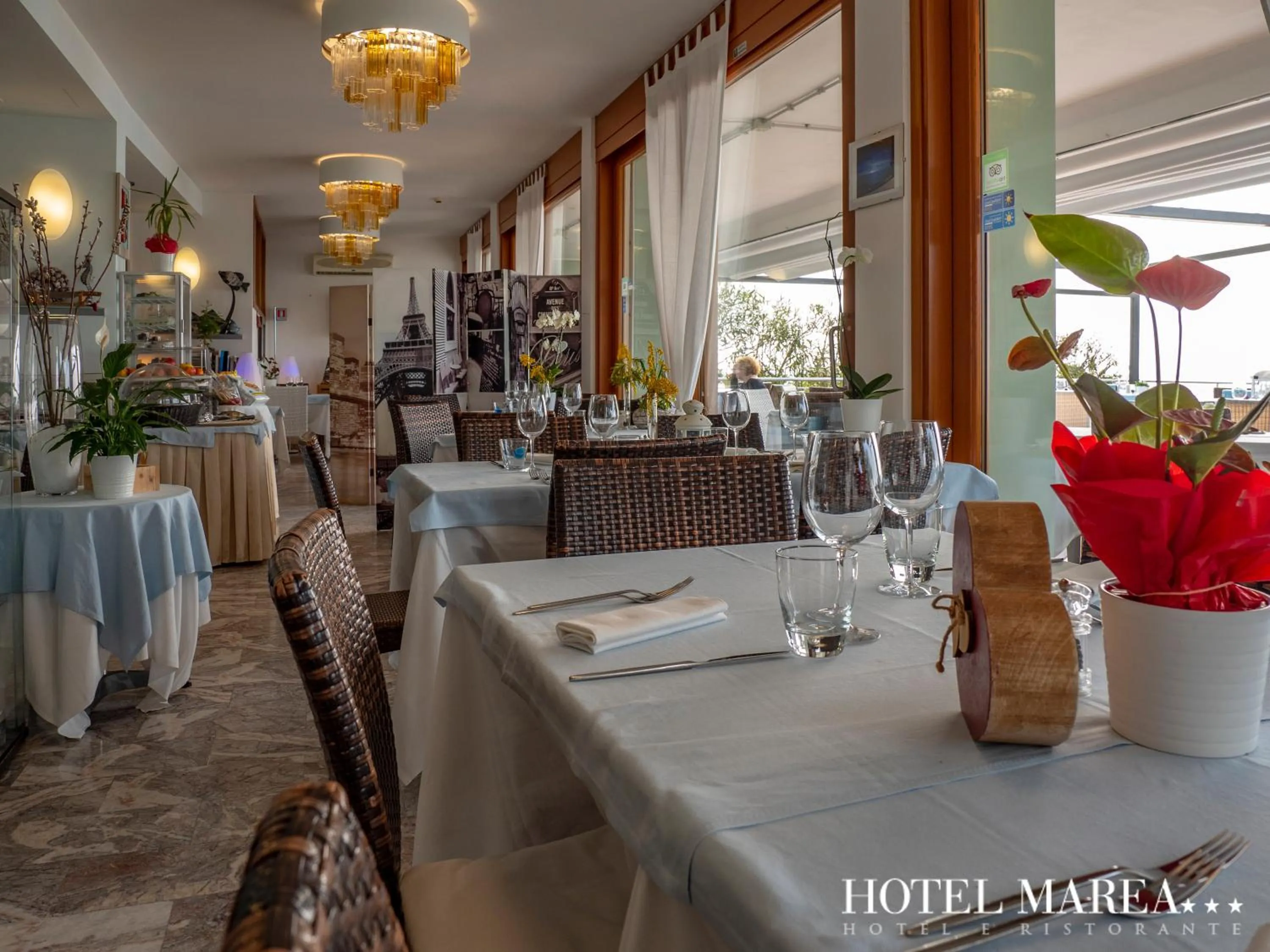 Restaurant/places to eat in Hotel Marea