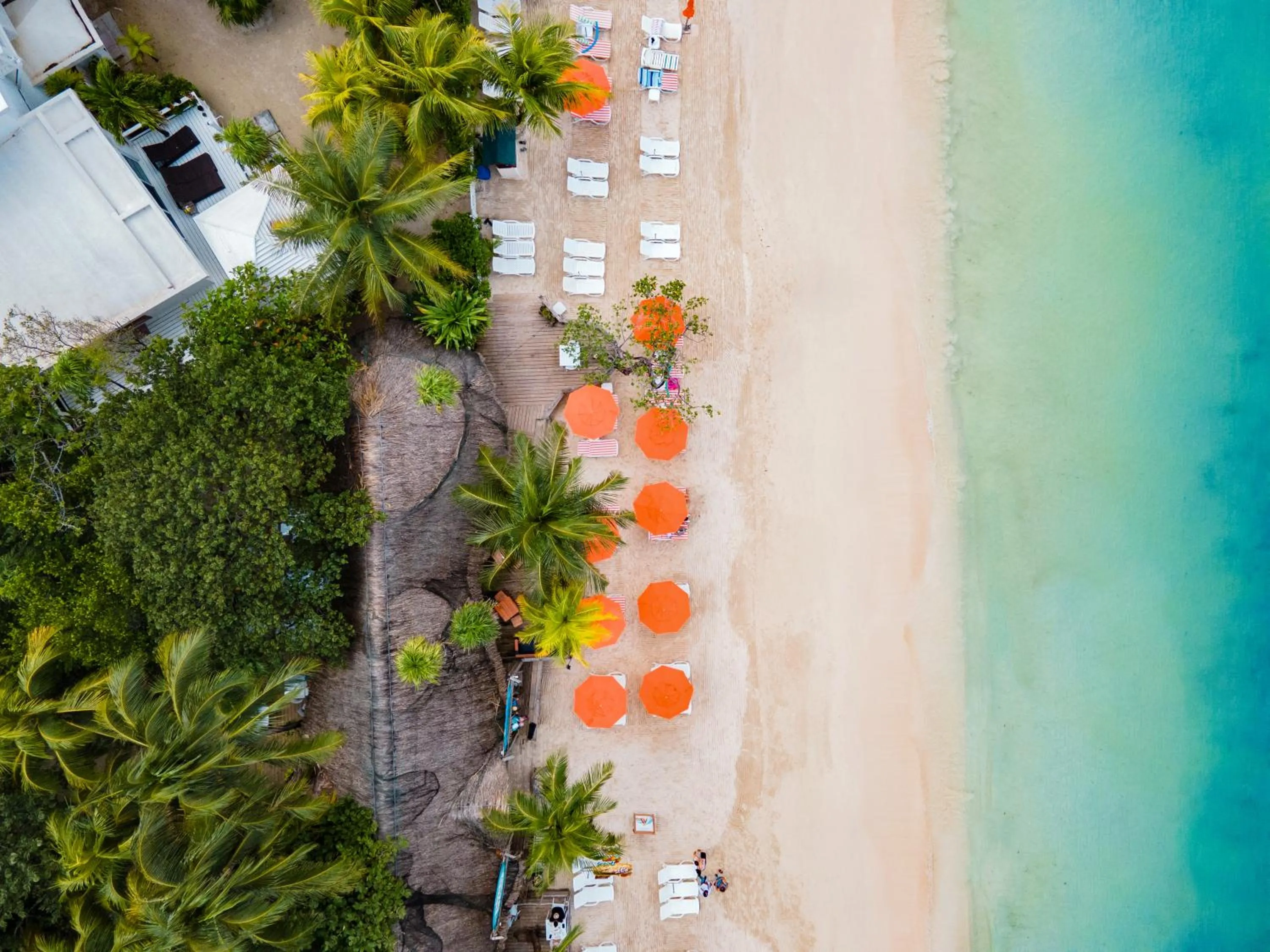 Day in Paradise Beach Resort & Dive Center