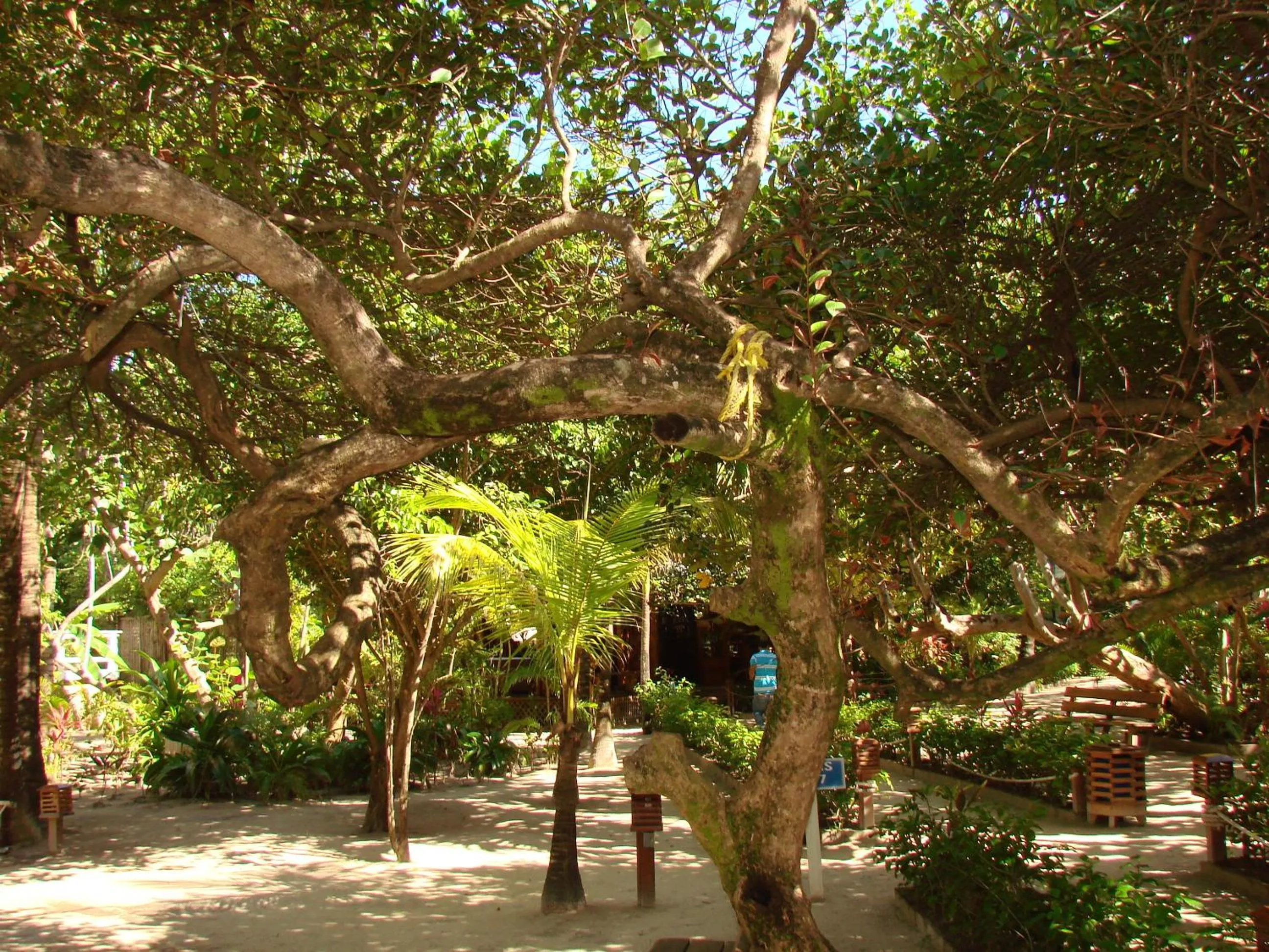 Garden in Paradise Beach Resort & Dive Center