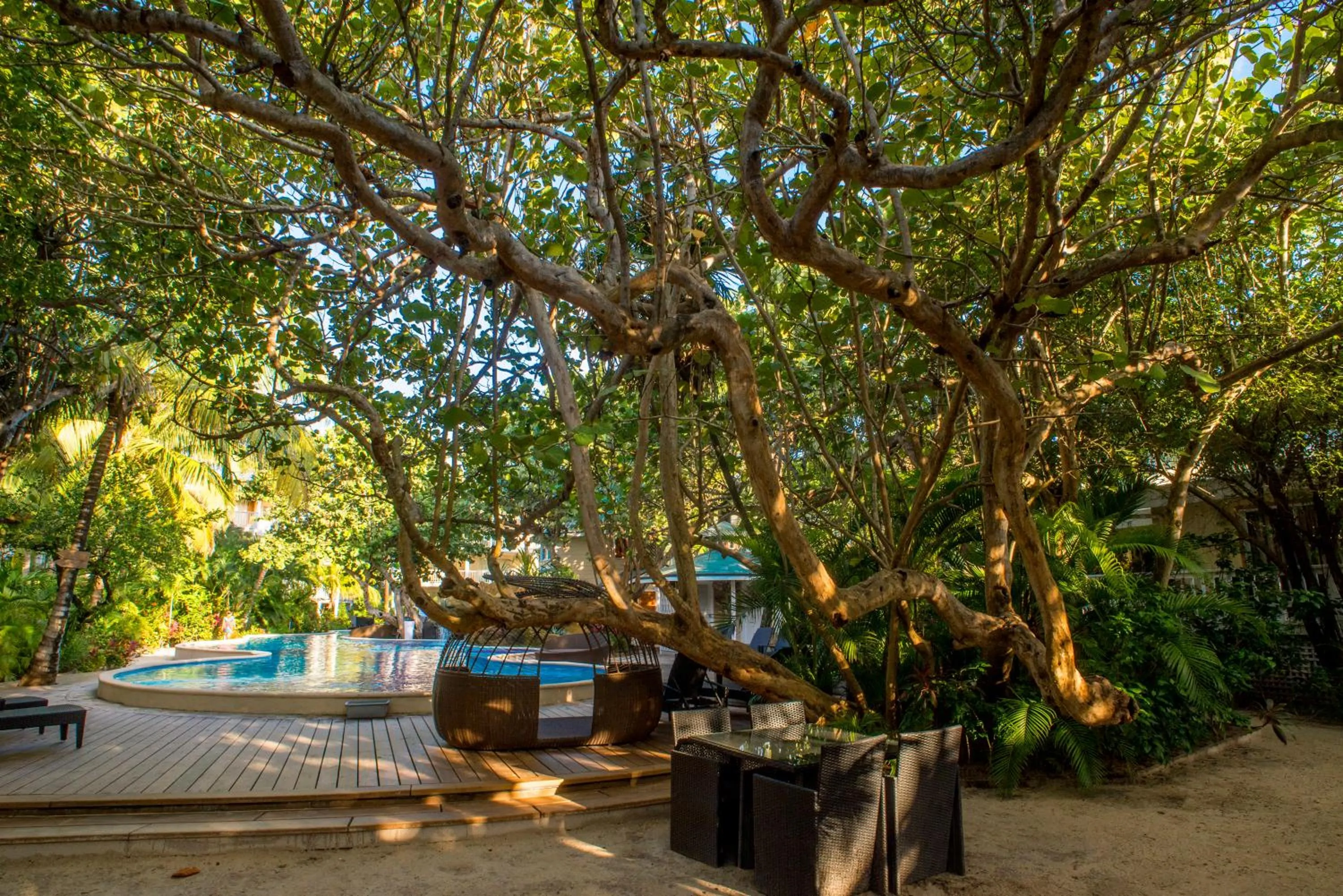 Spring in Paradise Beach Resort & Dive Center