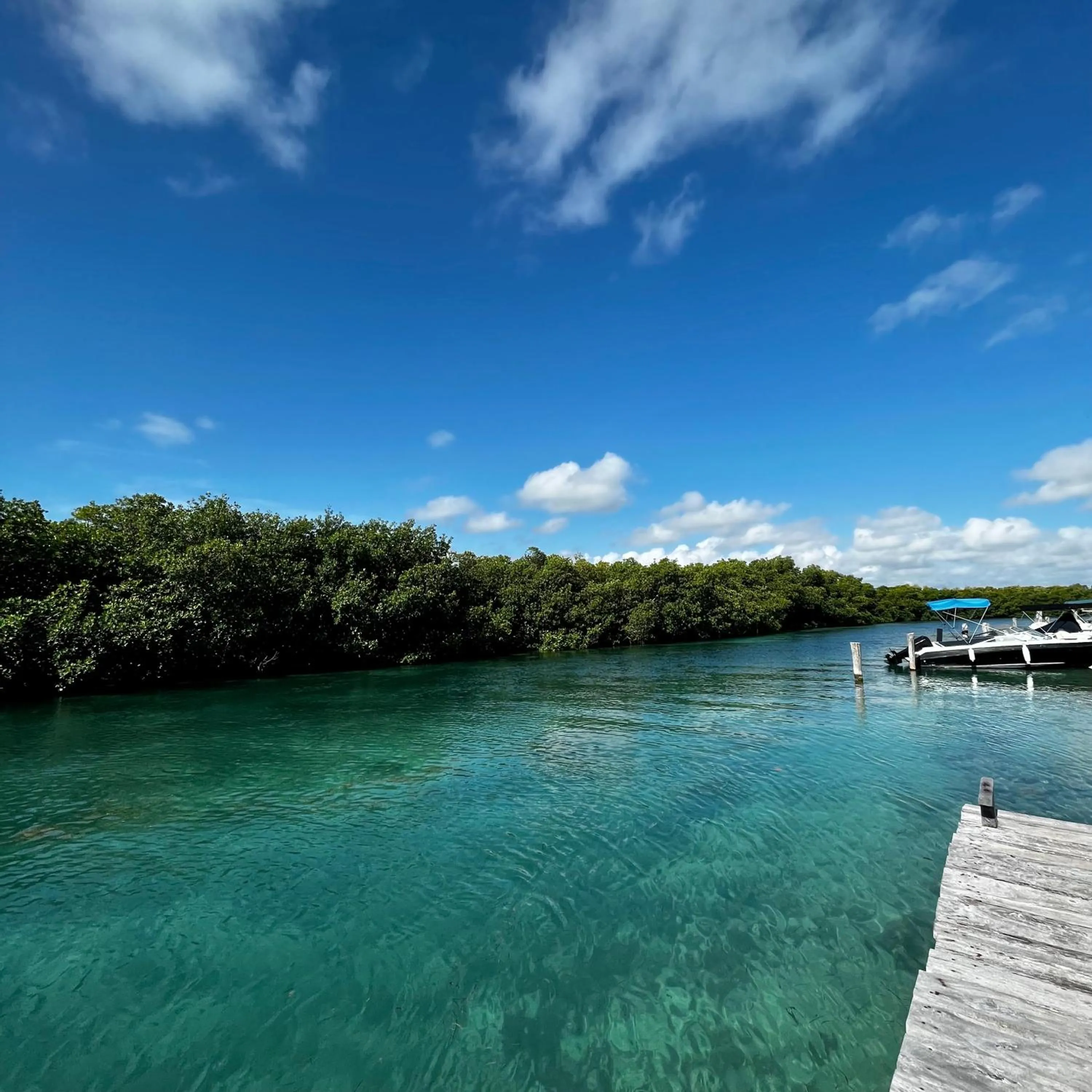 Day in Condominio en ZH Cancun