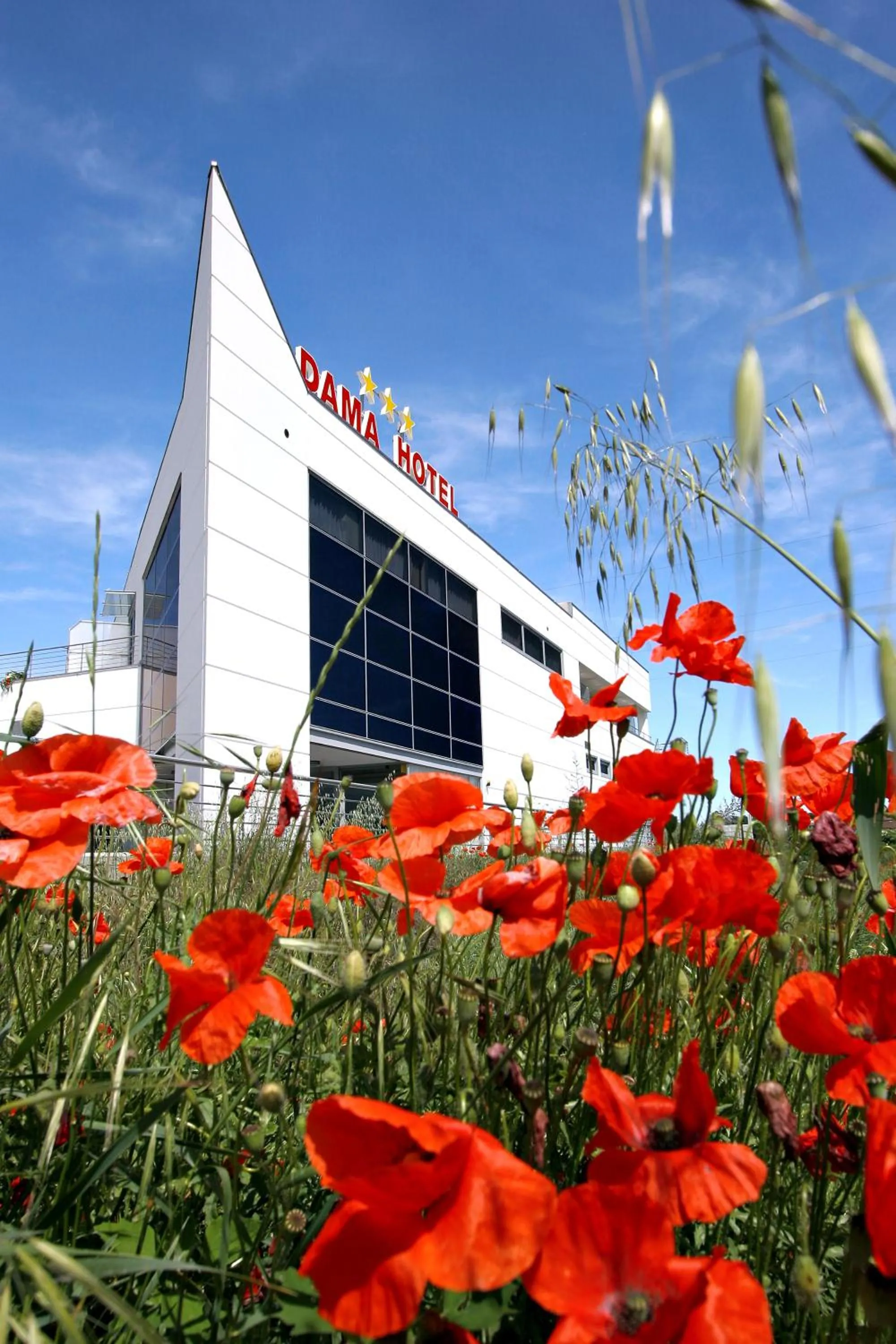 Facade/entrance in Dama Hotel