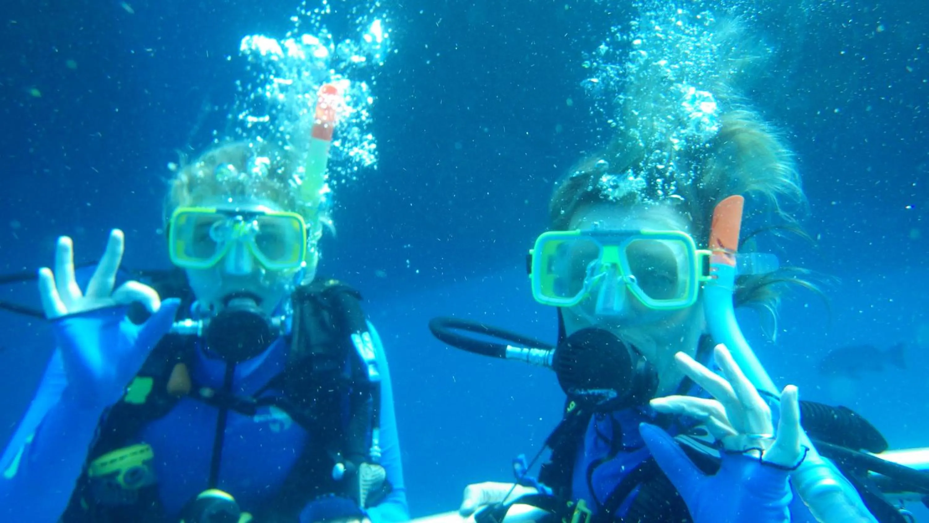 Diving in South Pacific Bed & Breakfast