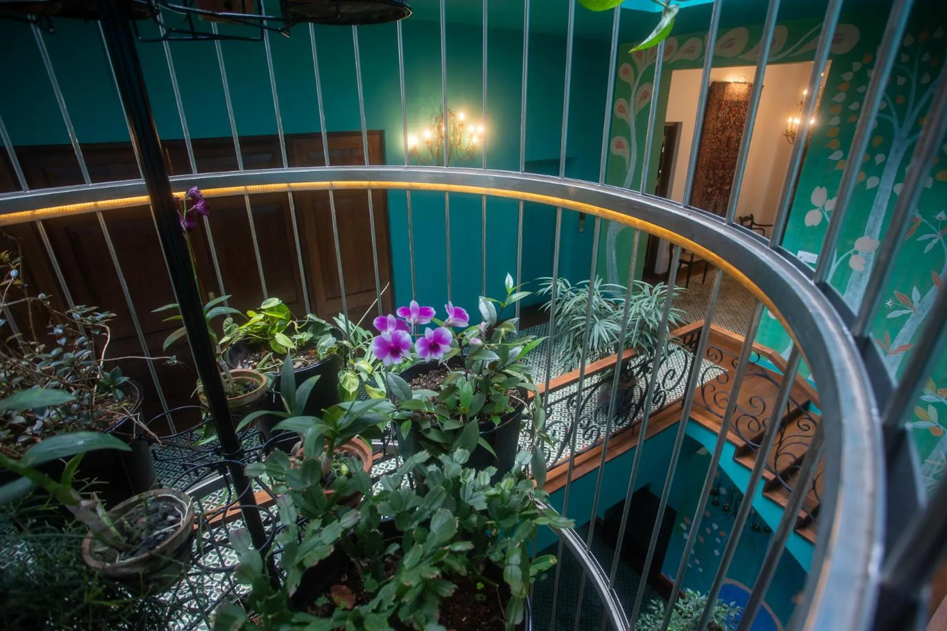 Balcony/Terrace in Kandy Dendrobium House