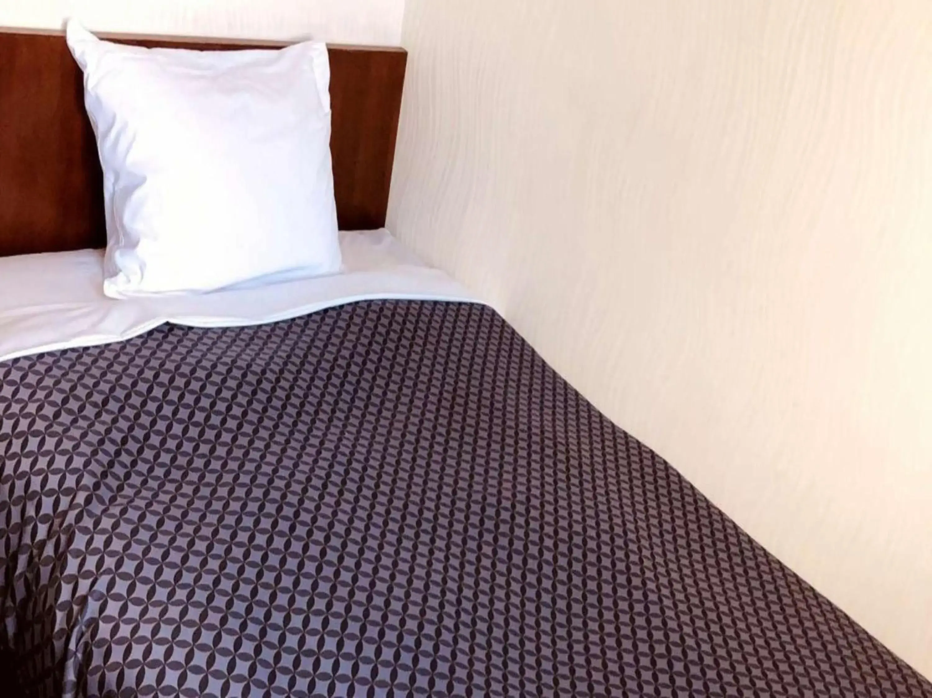 Single Room in Business Hotel Kawashima Single Room in Business Hotel Kawashima