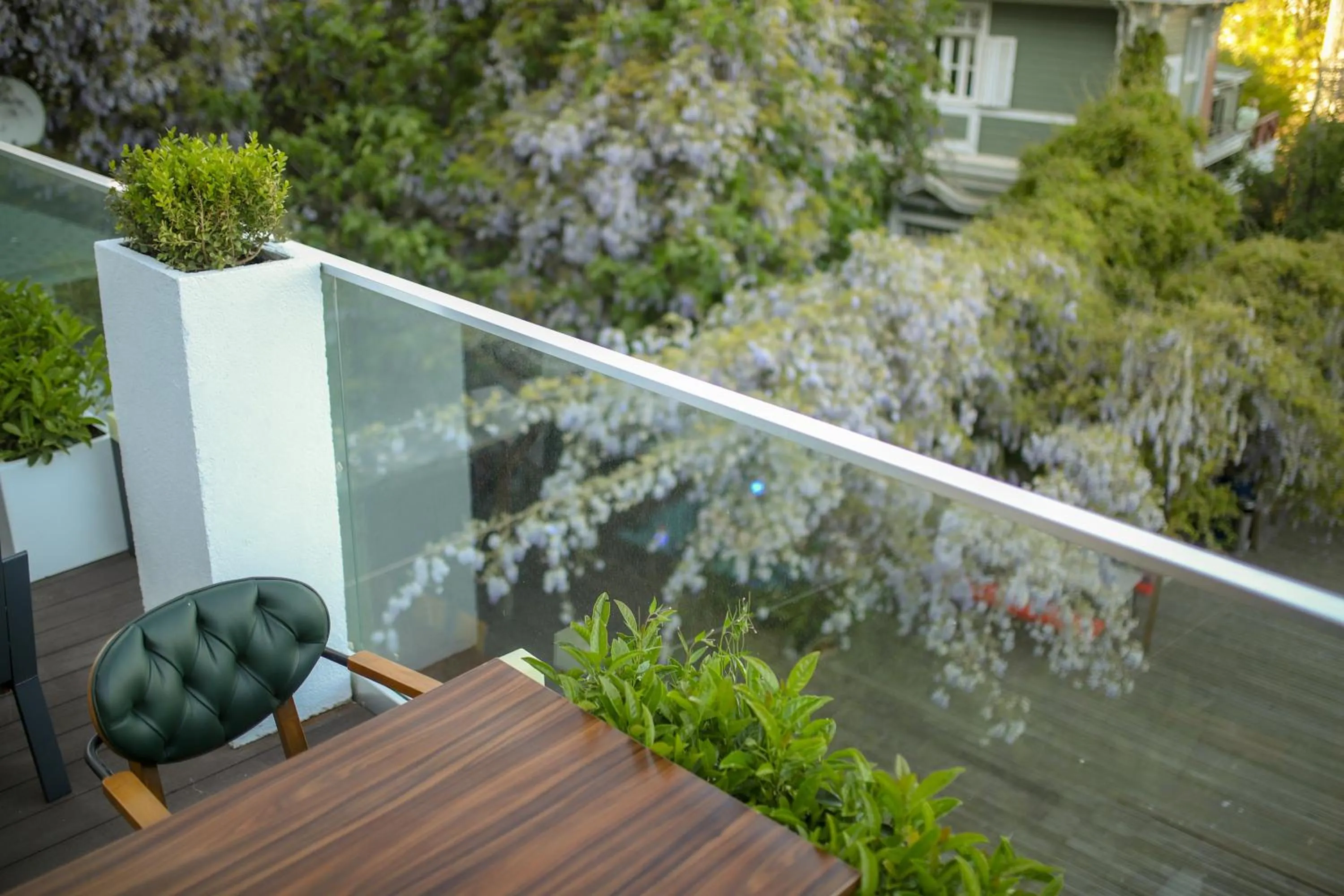 Garden in Loop Hotel Bosphorus İstanbul