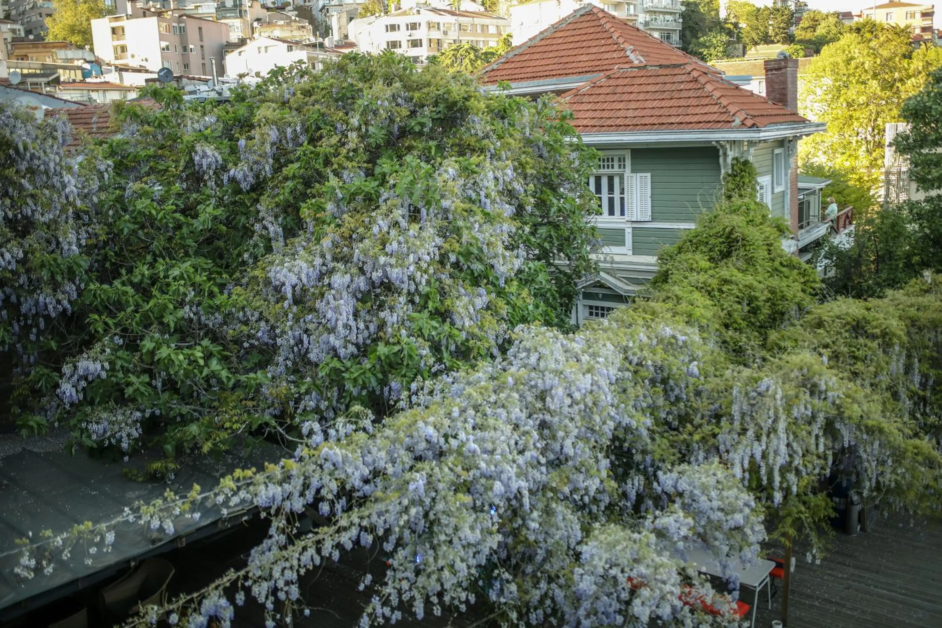 Balcony/Terrace in Loop Hotel Bosphorus İstanbul