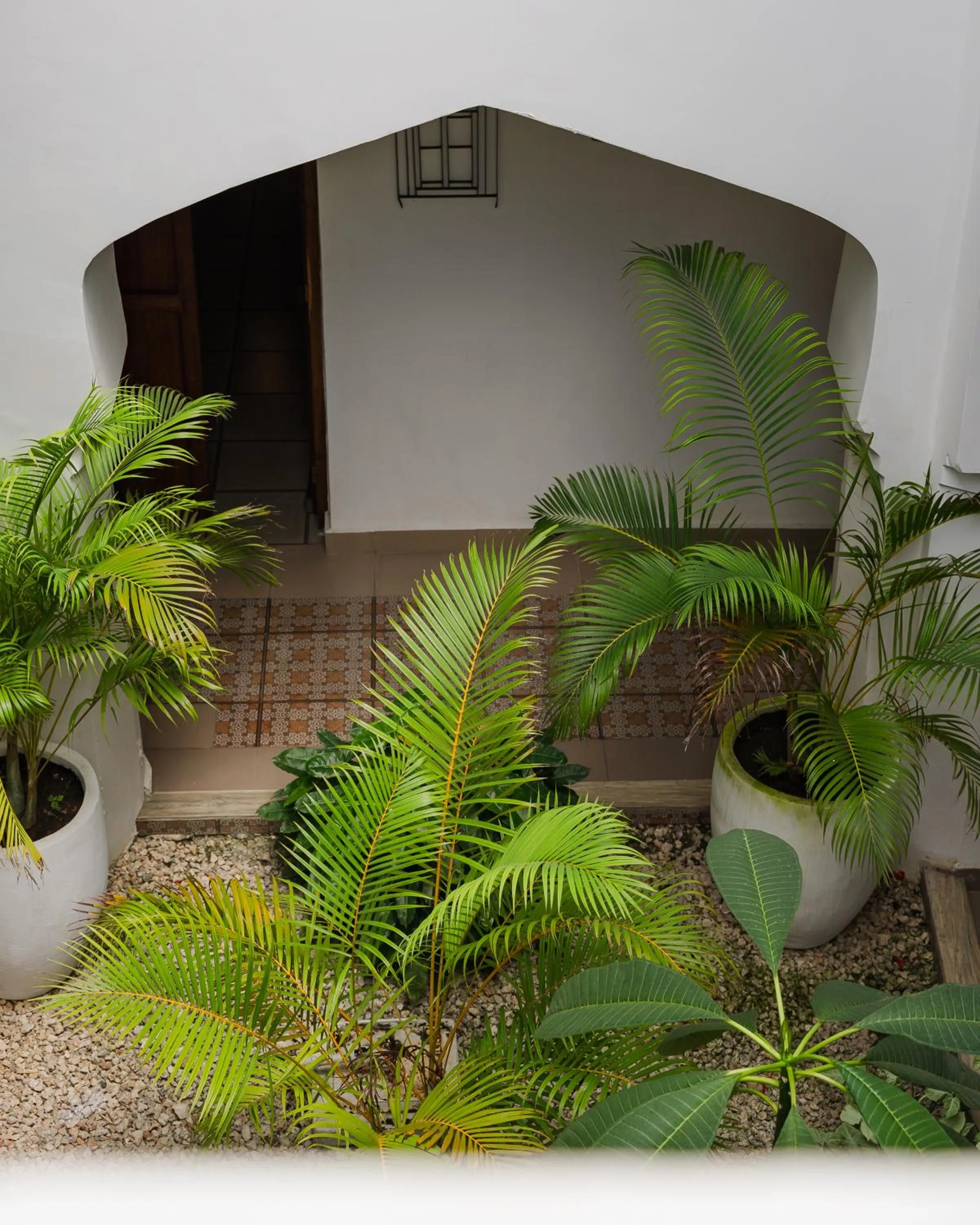 Inner courtyard view in Emerald Palm Courtyard Hotel