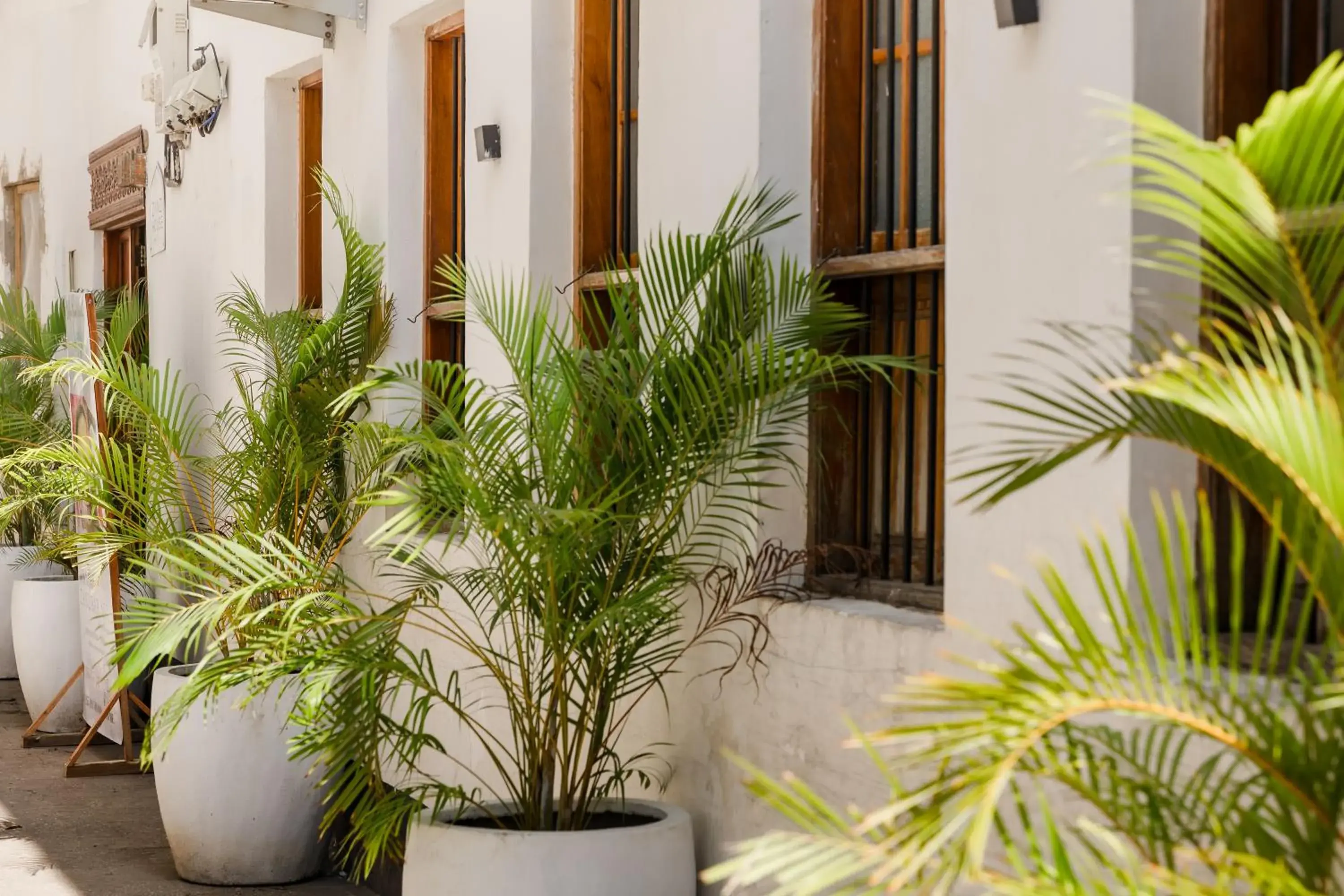 Property building in Emerald Palm Courtyard Hotel Property building in Emerald Palm Courtyard Hotel