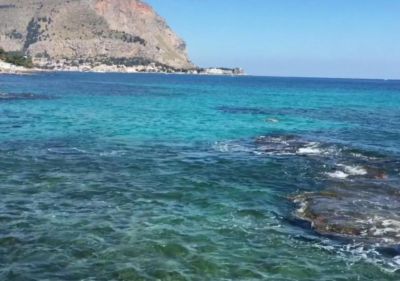 Activities in Addaura Village e Congressi