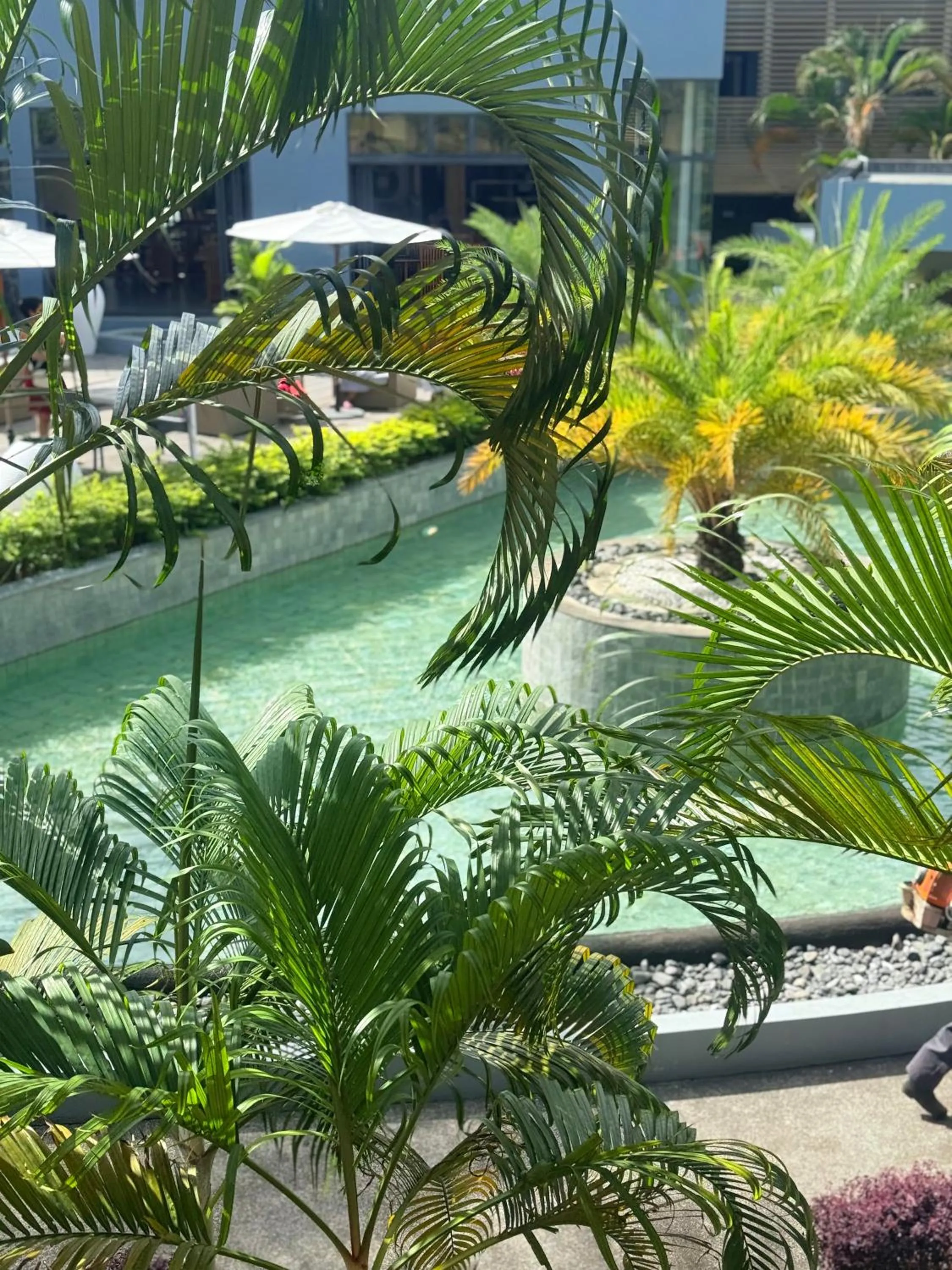 Natural landscape in Be Cosy by LOV Mauritius
