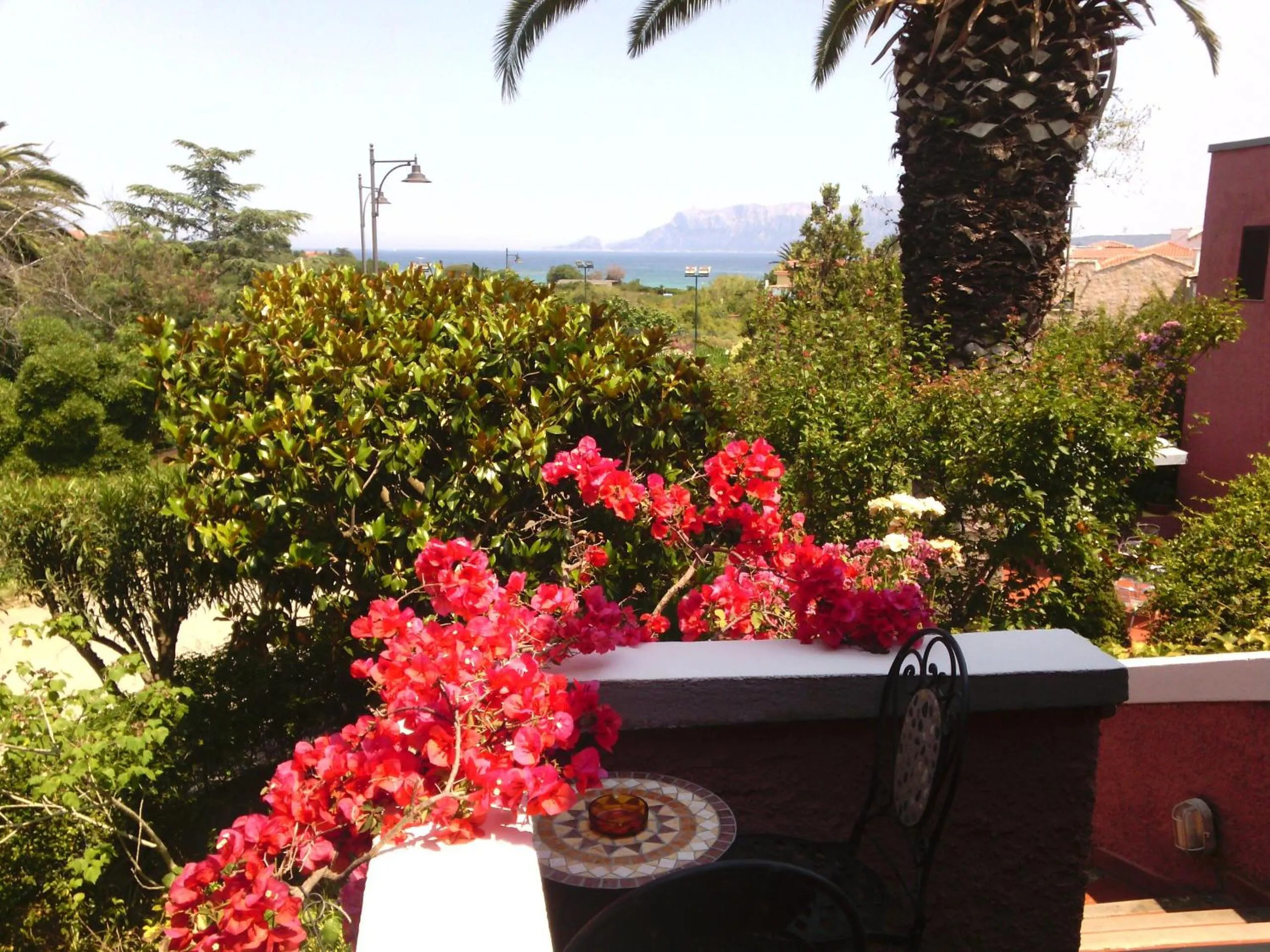 Garden in Hotel Abbaruja
