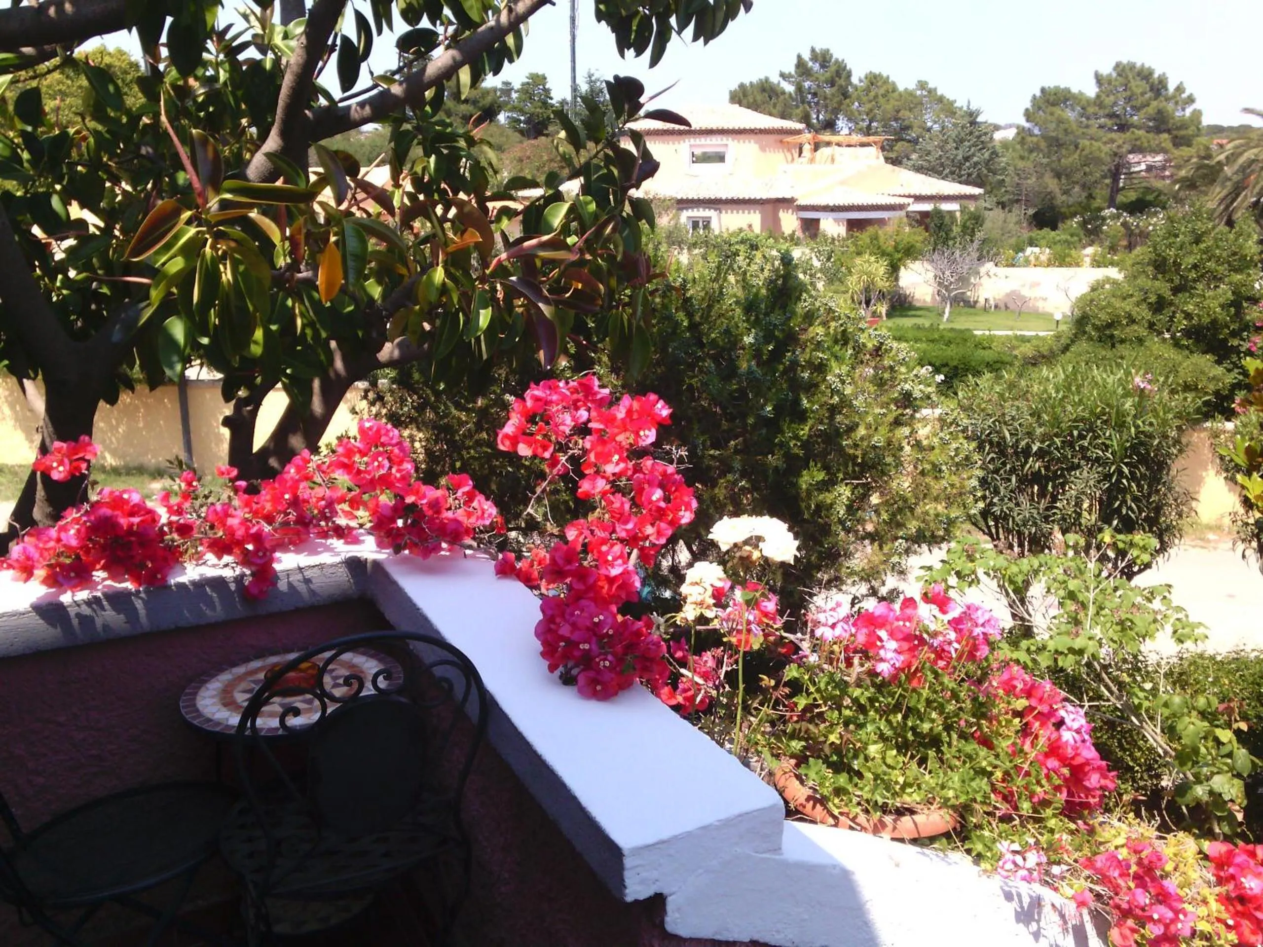 Garden in Hotel Abbaruja