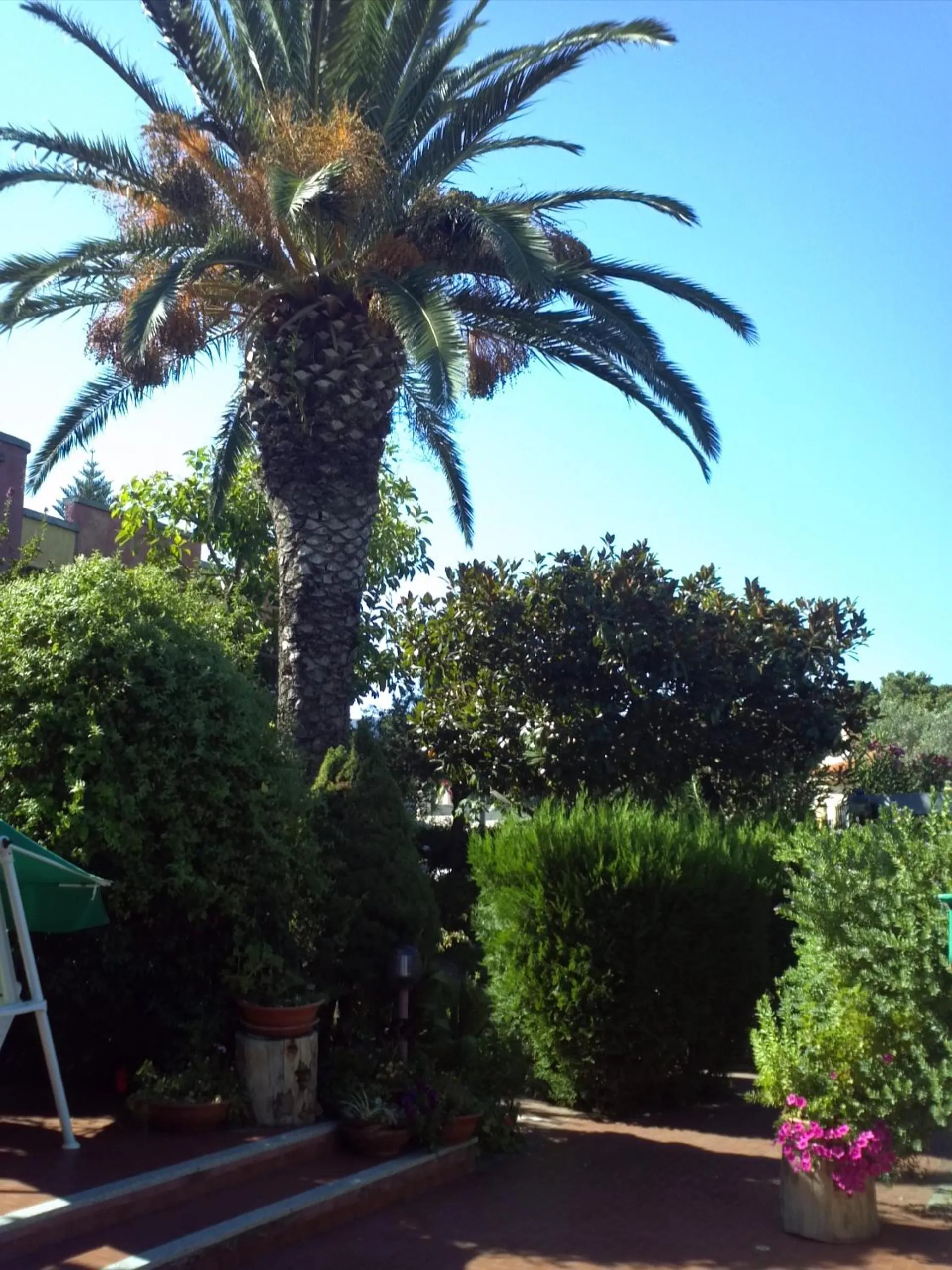 Garden in Hotel Abbaruja