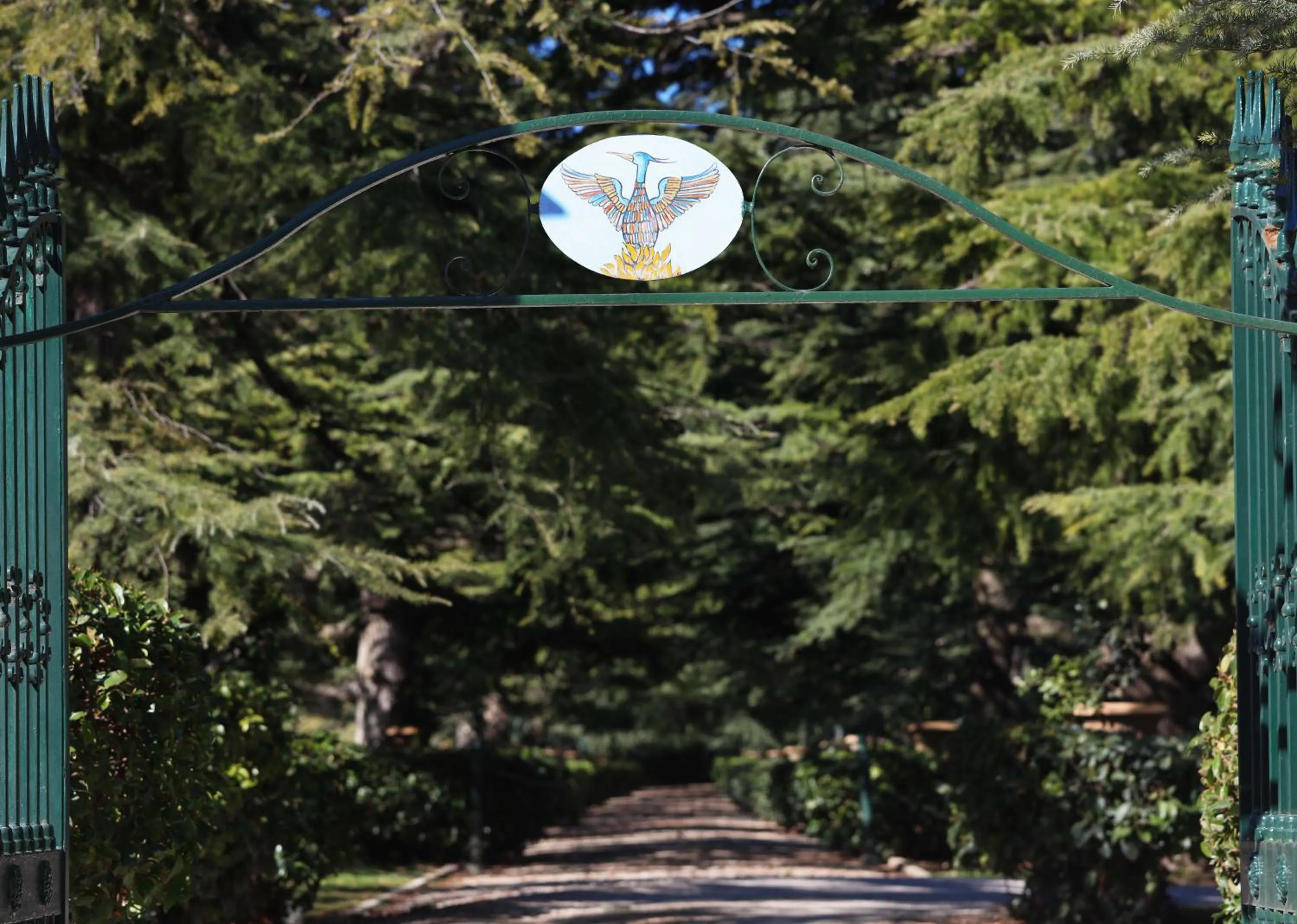 Villa Fenicia
