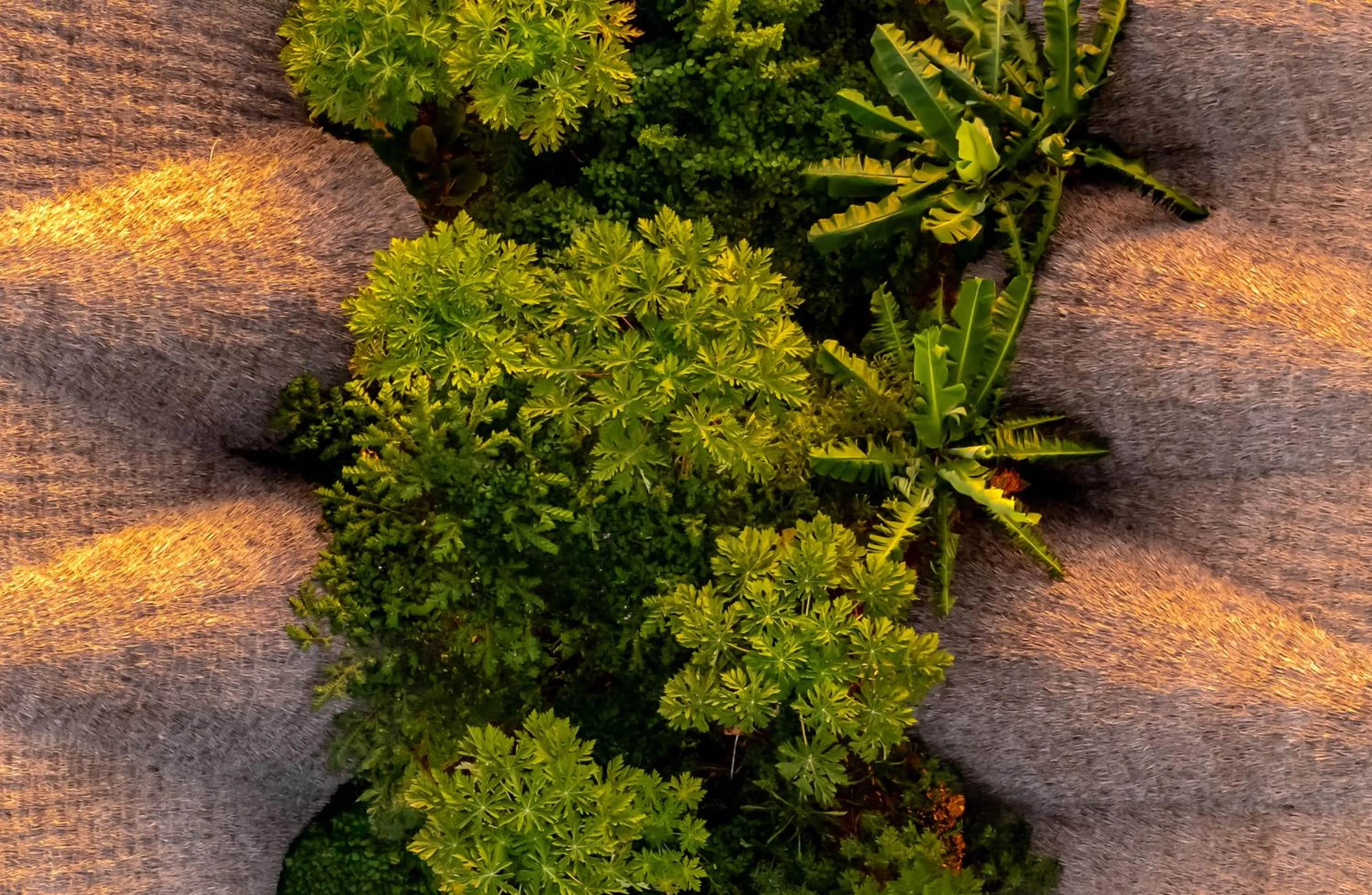 Property building in Bamboo Zanzibar