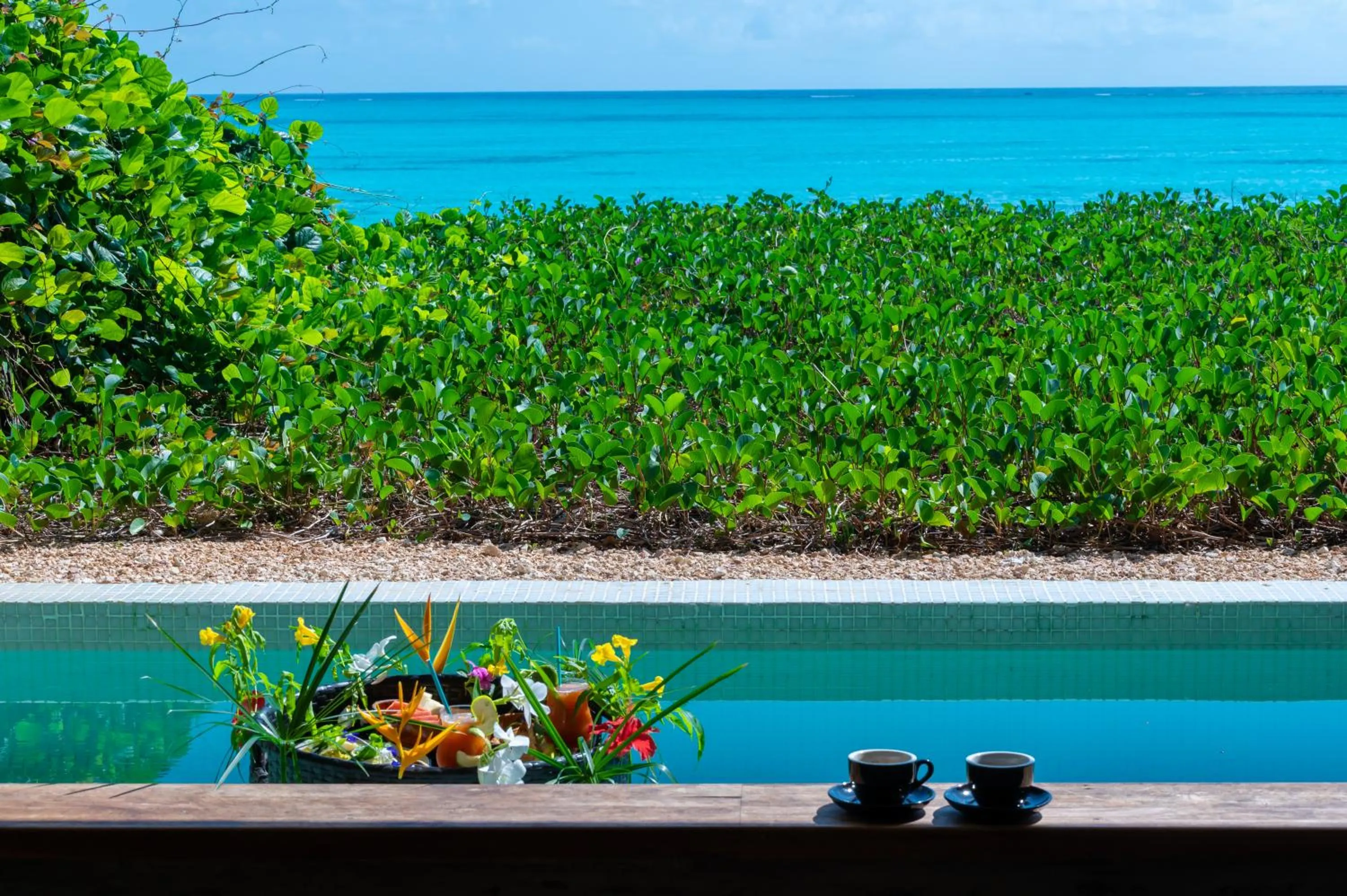 Garden view in Bamboo Zanzibar