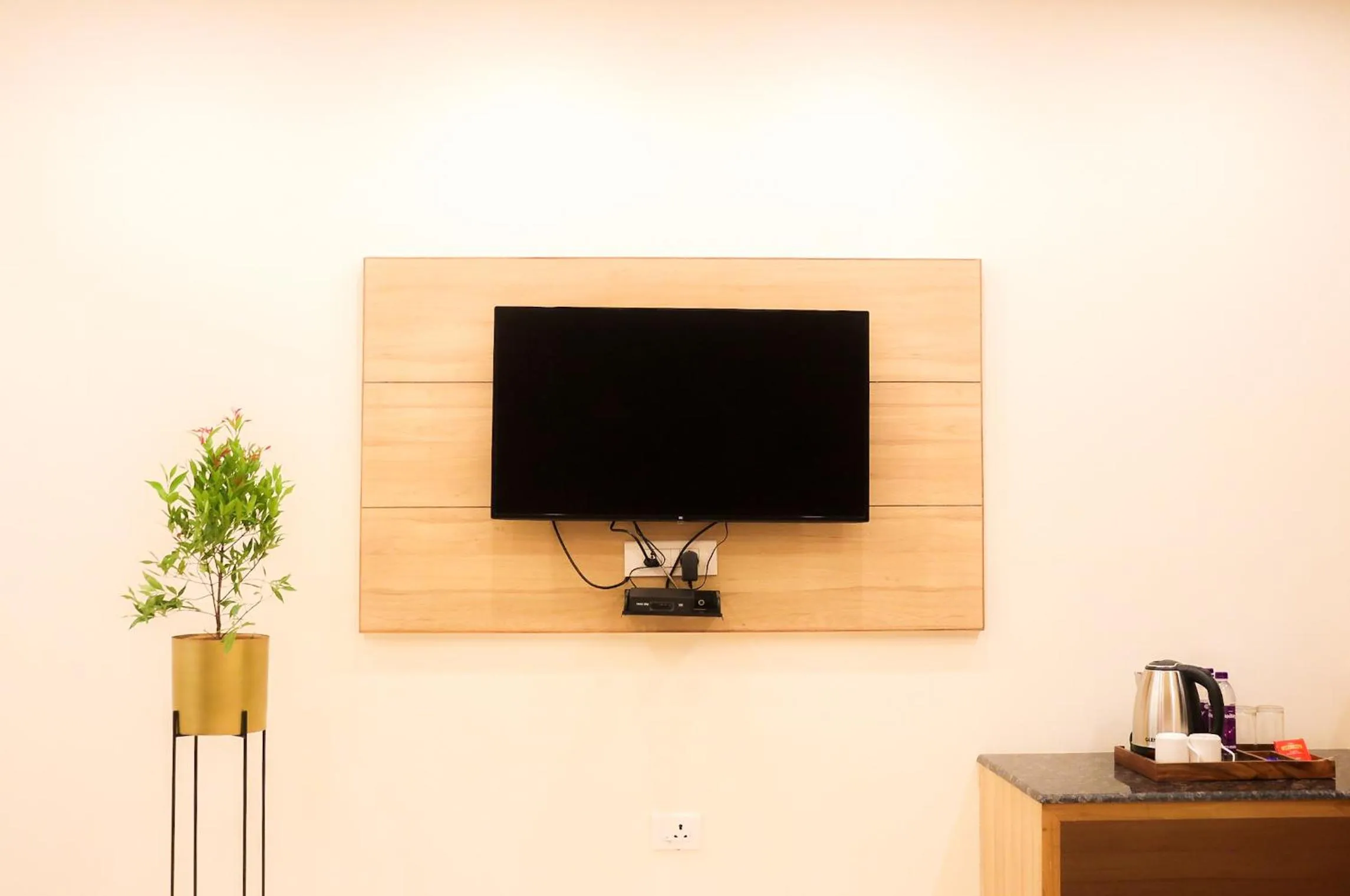 TV and multimedia in Hotel Royal Palm Dehradun