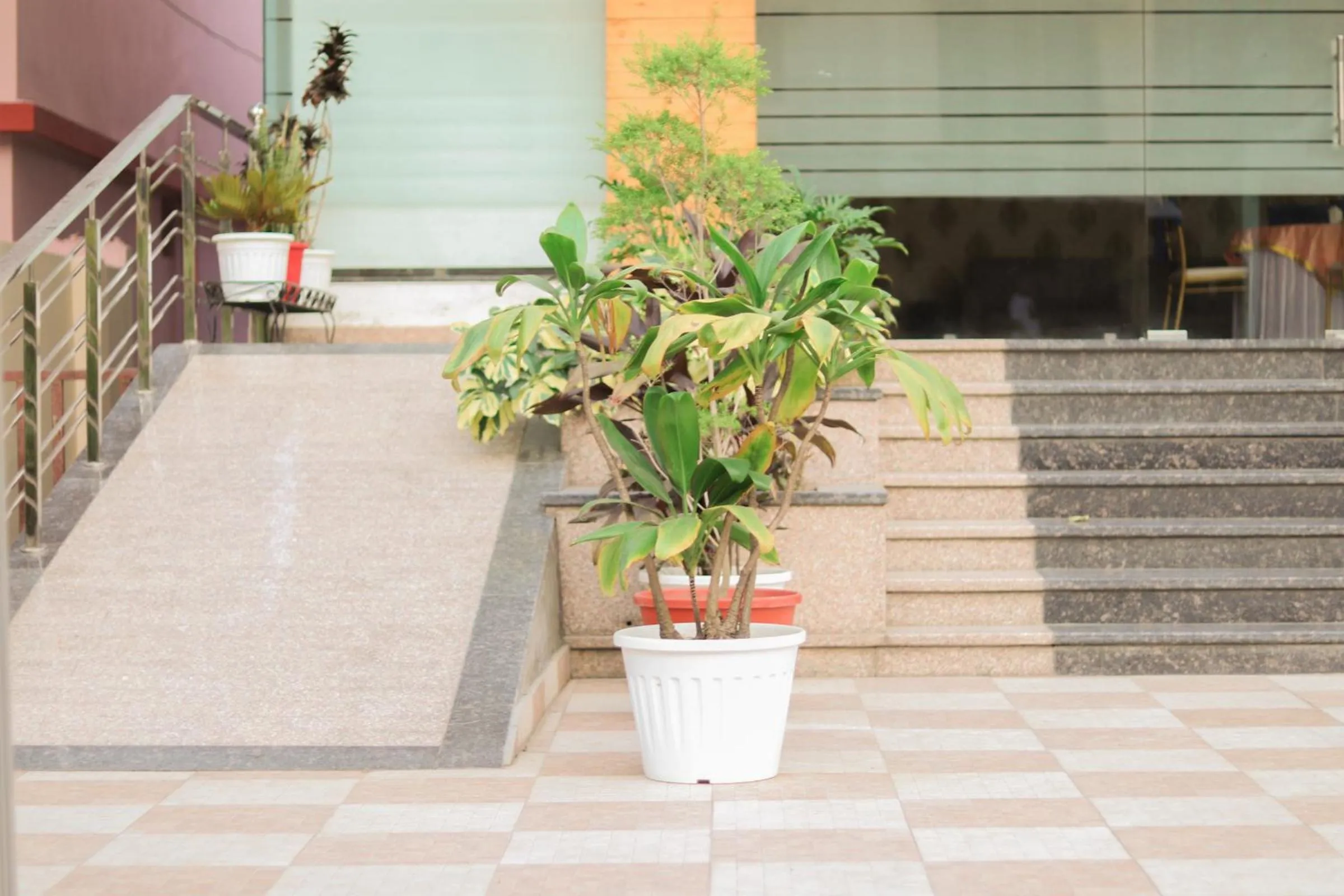 Spring in Hotel Royal Palm Dehradun