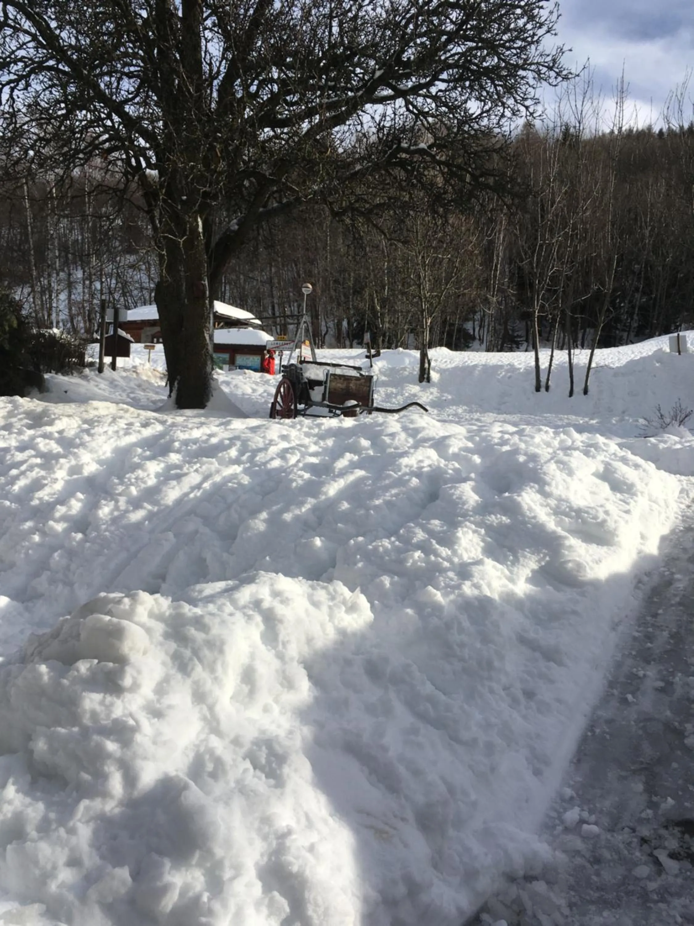 Garden view in Hôtel et Appart'Hôtel Restaurant L'Adray