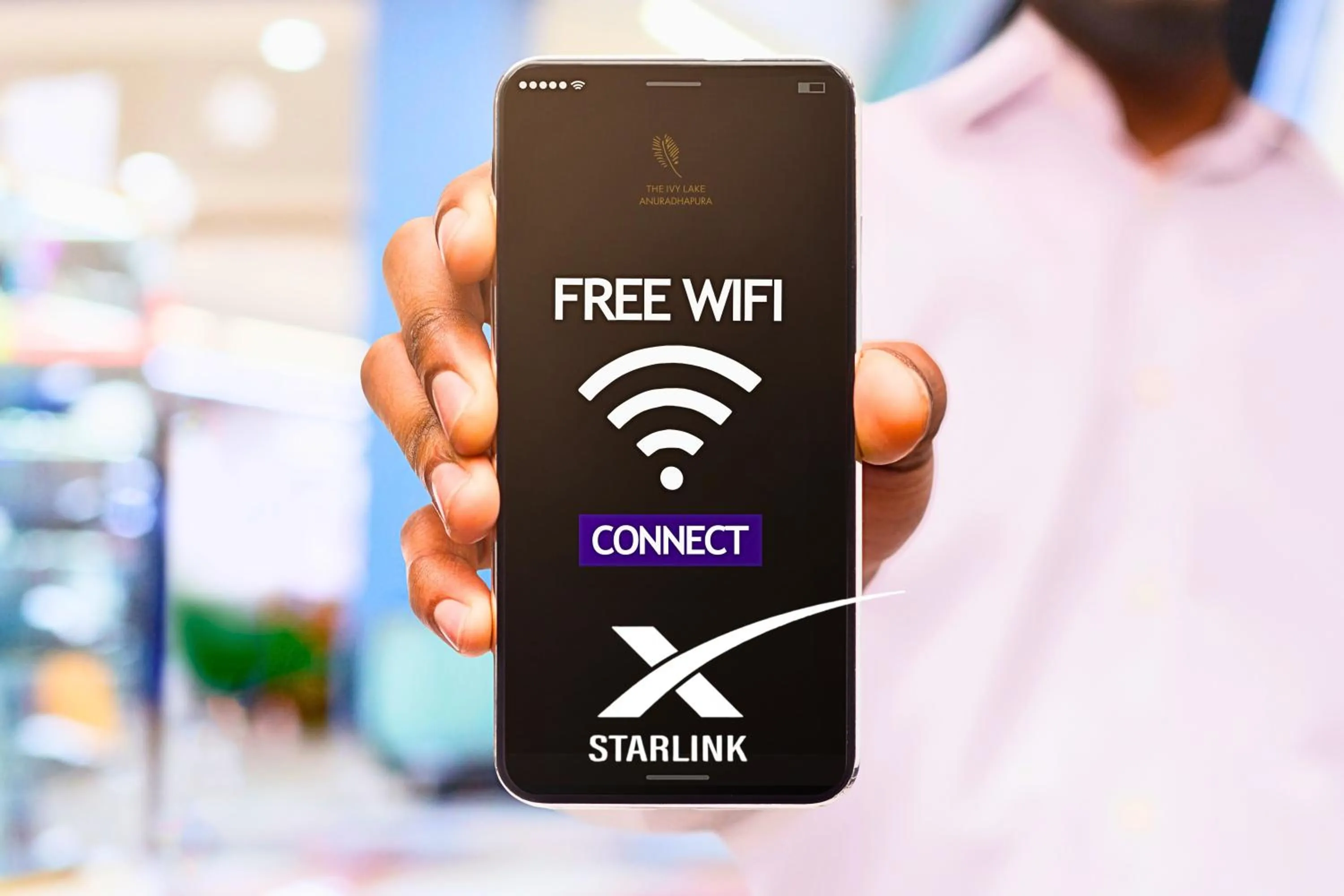 Area and facilities in The Ivy Lake