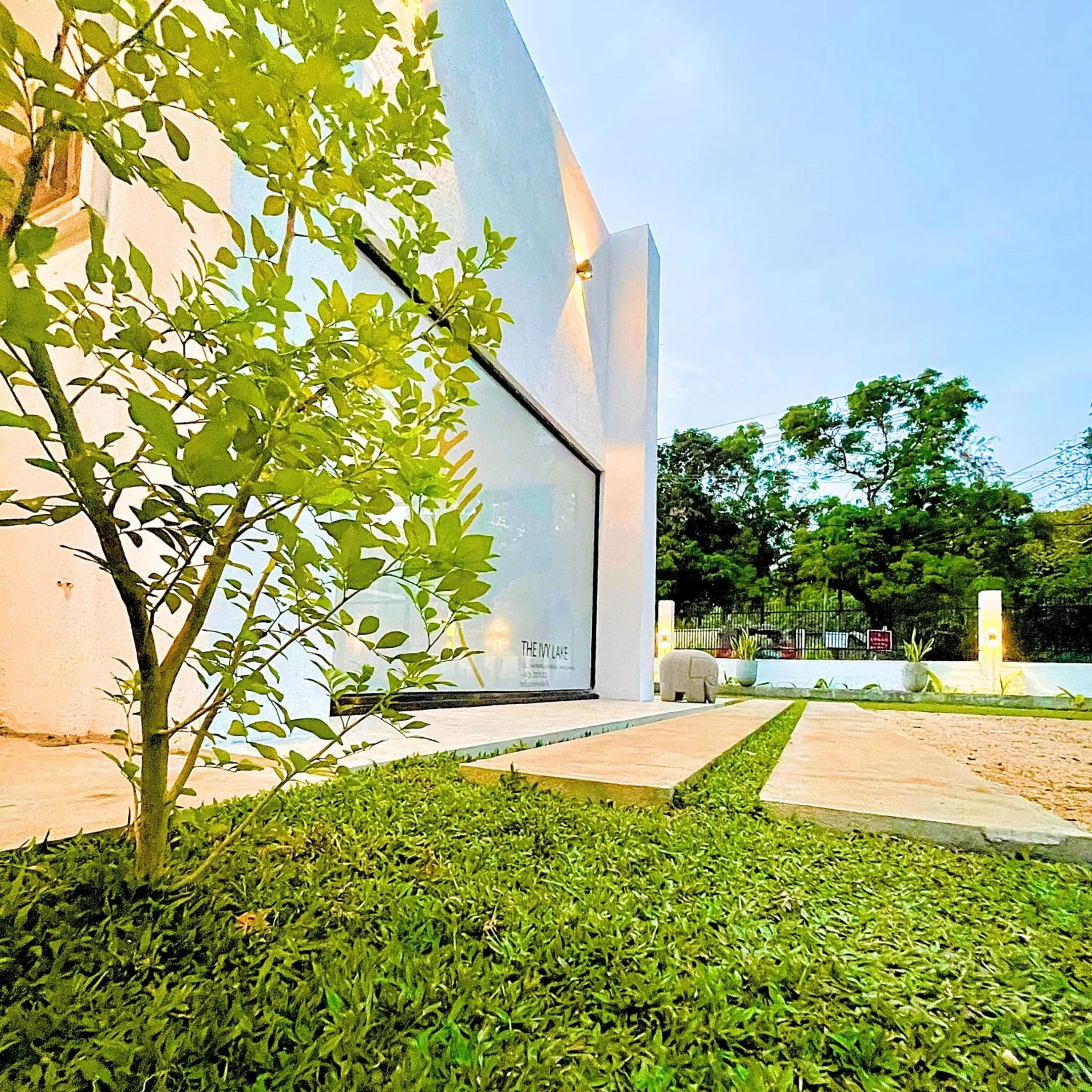 Garden in The Ivy Lake