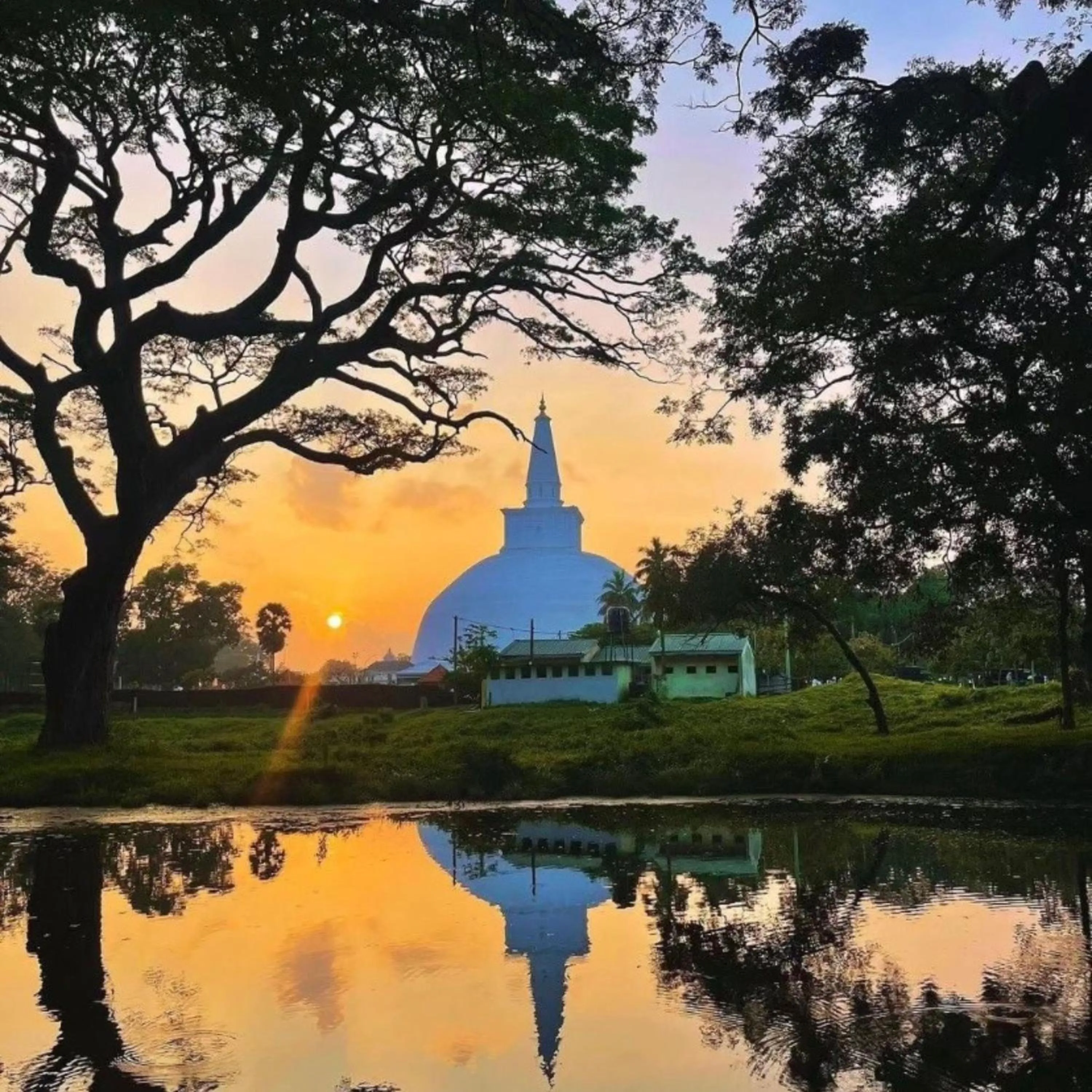 Natural landscape in The Ivy Lake