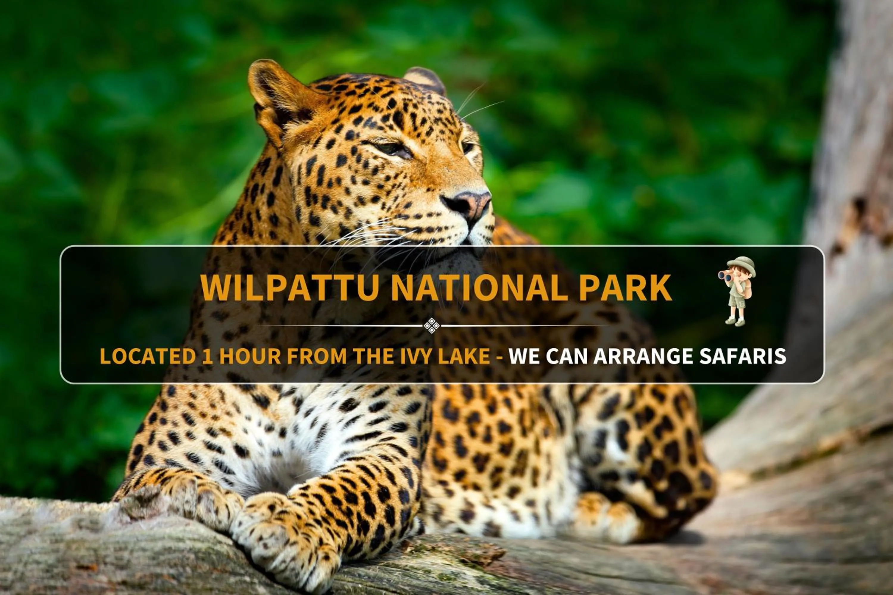 Nearby landmark in The Ivy Lake