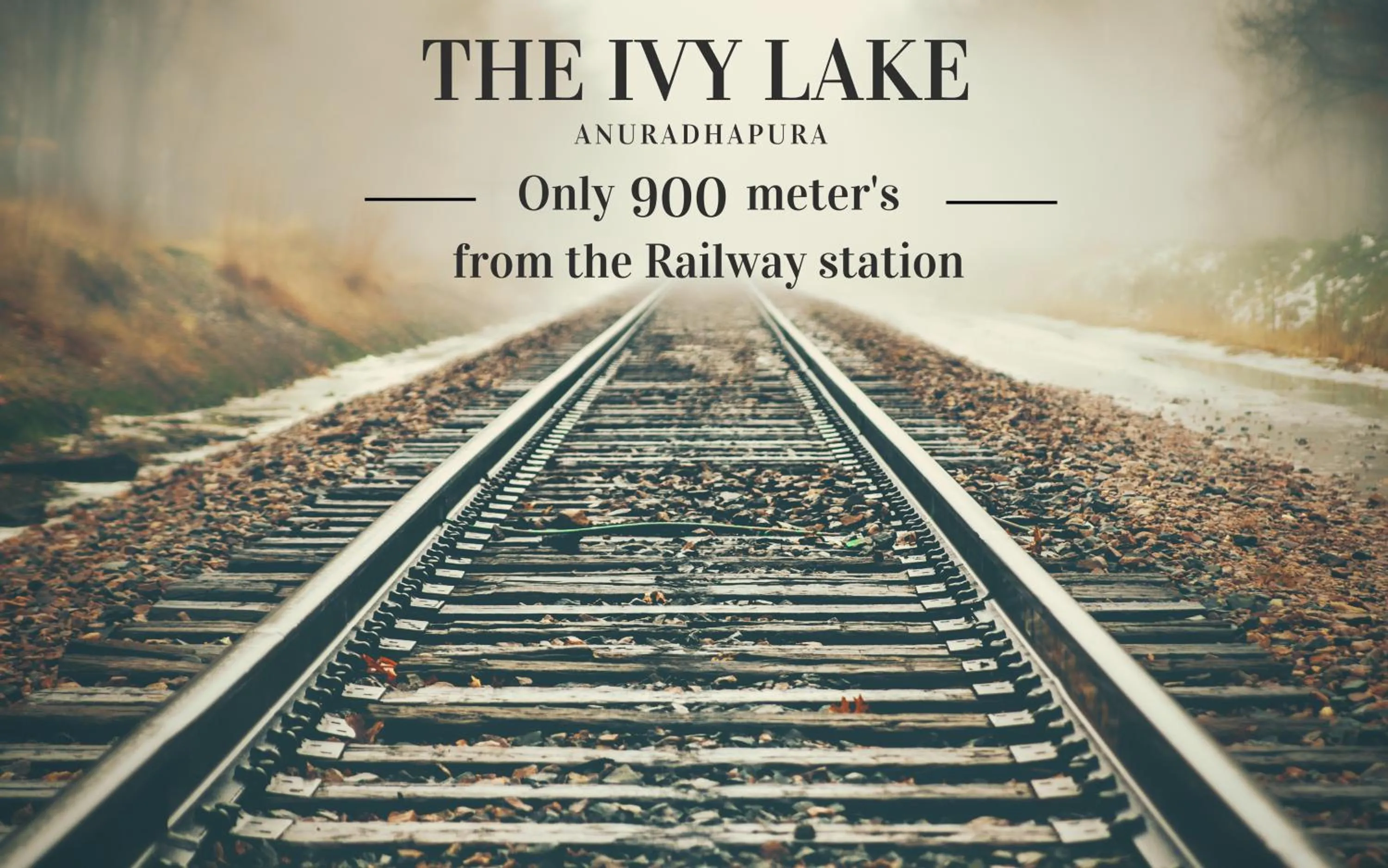 Location in The Ivy Lake