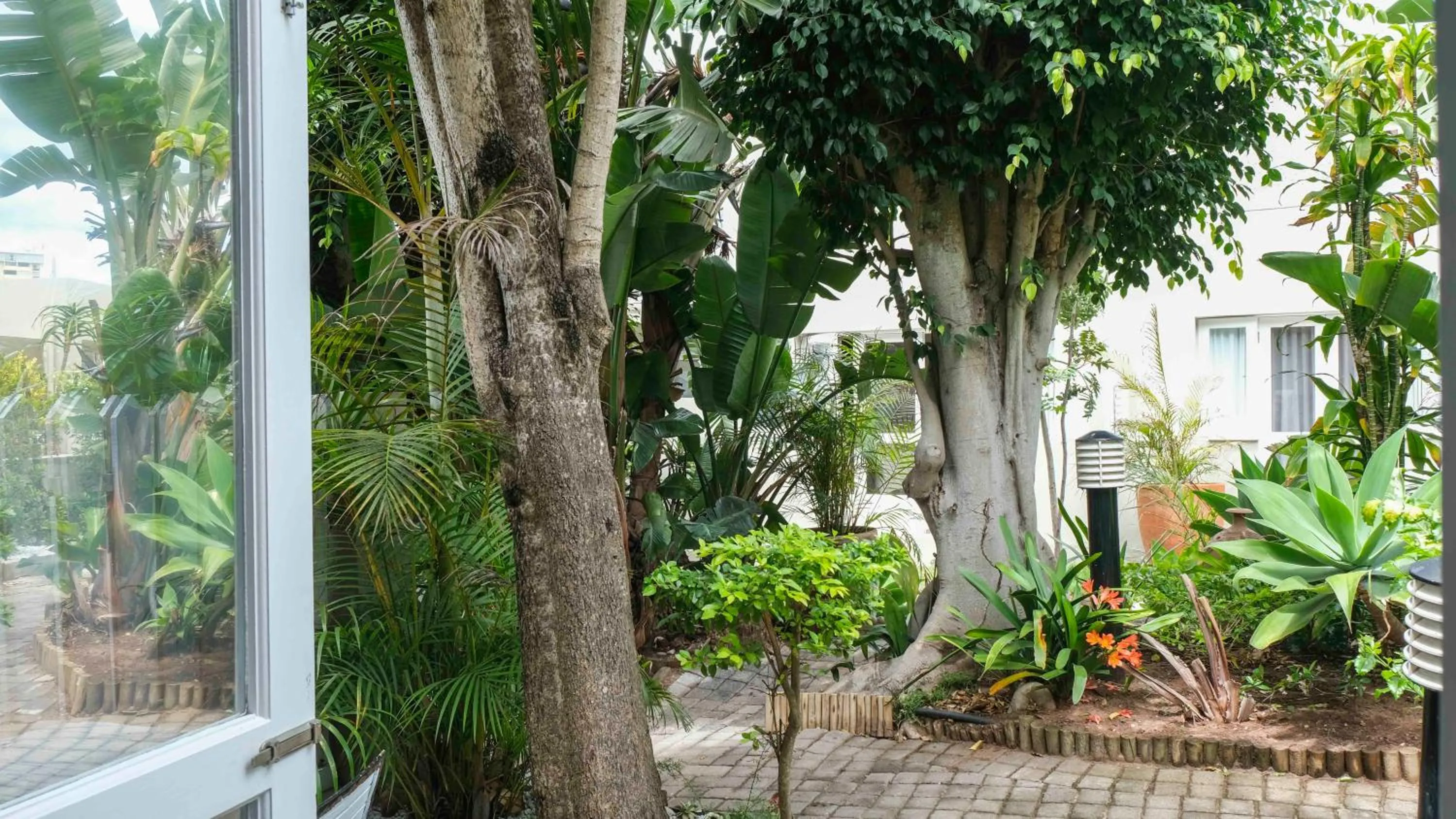 Garden in Conifer Beach House