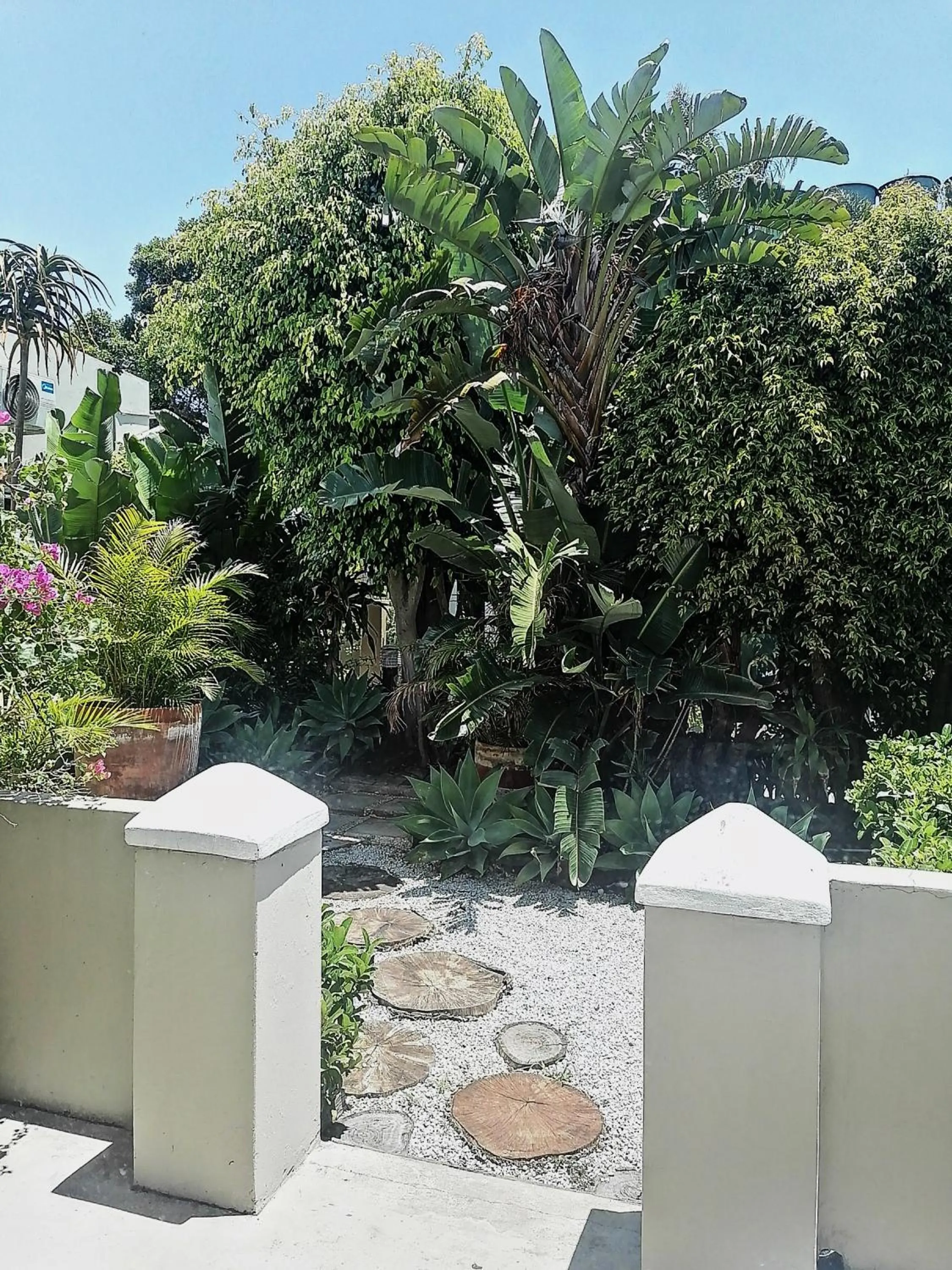 Garden in Conifer Beach House