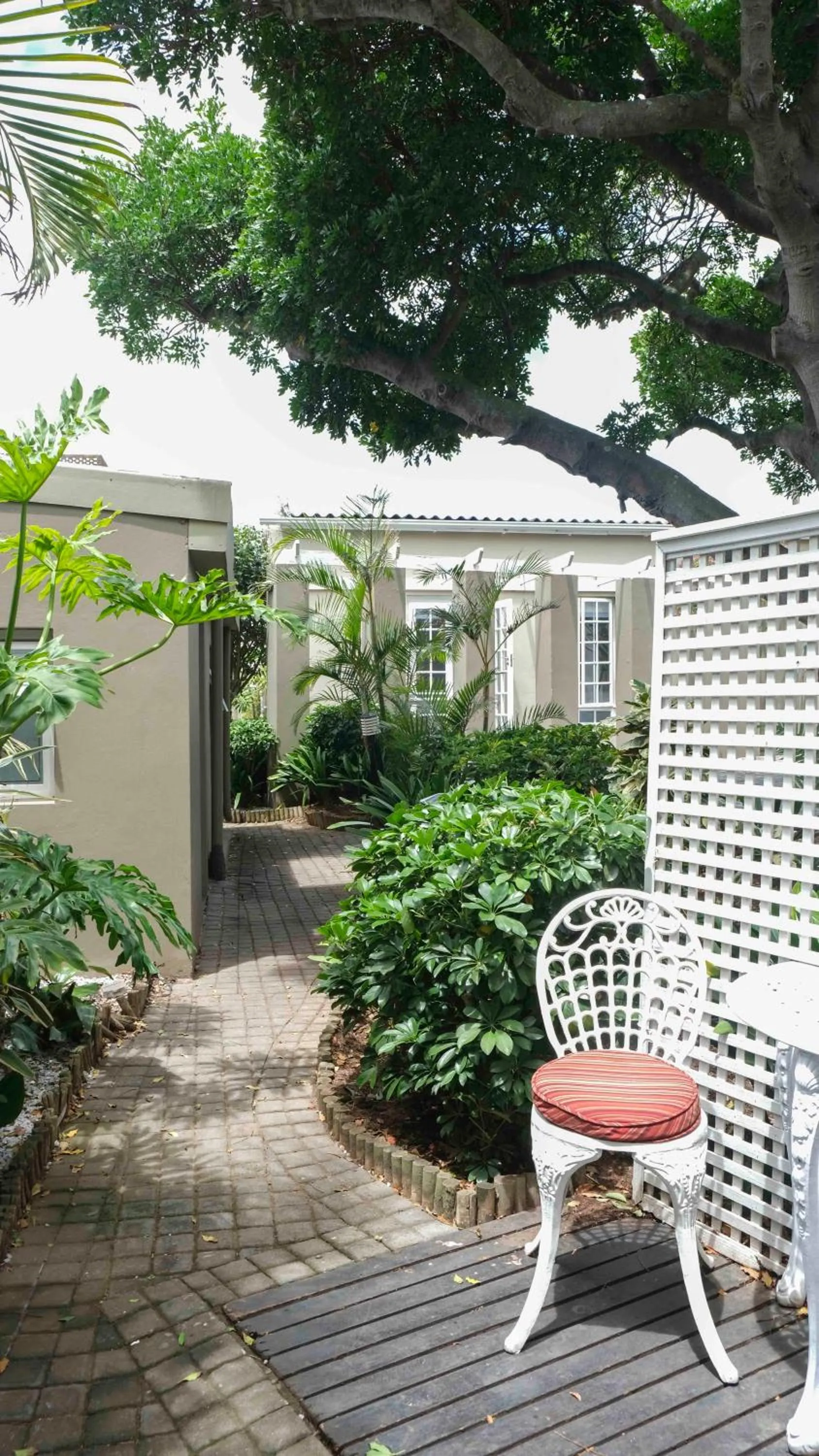 Patio in Conifer Beach House