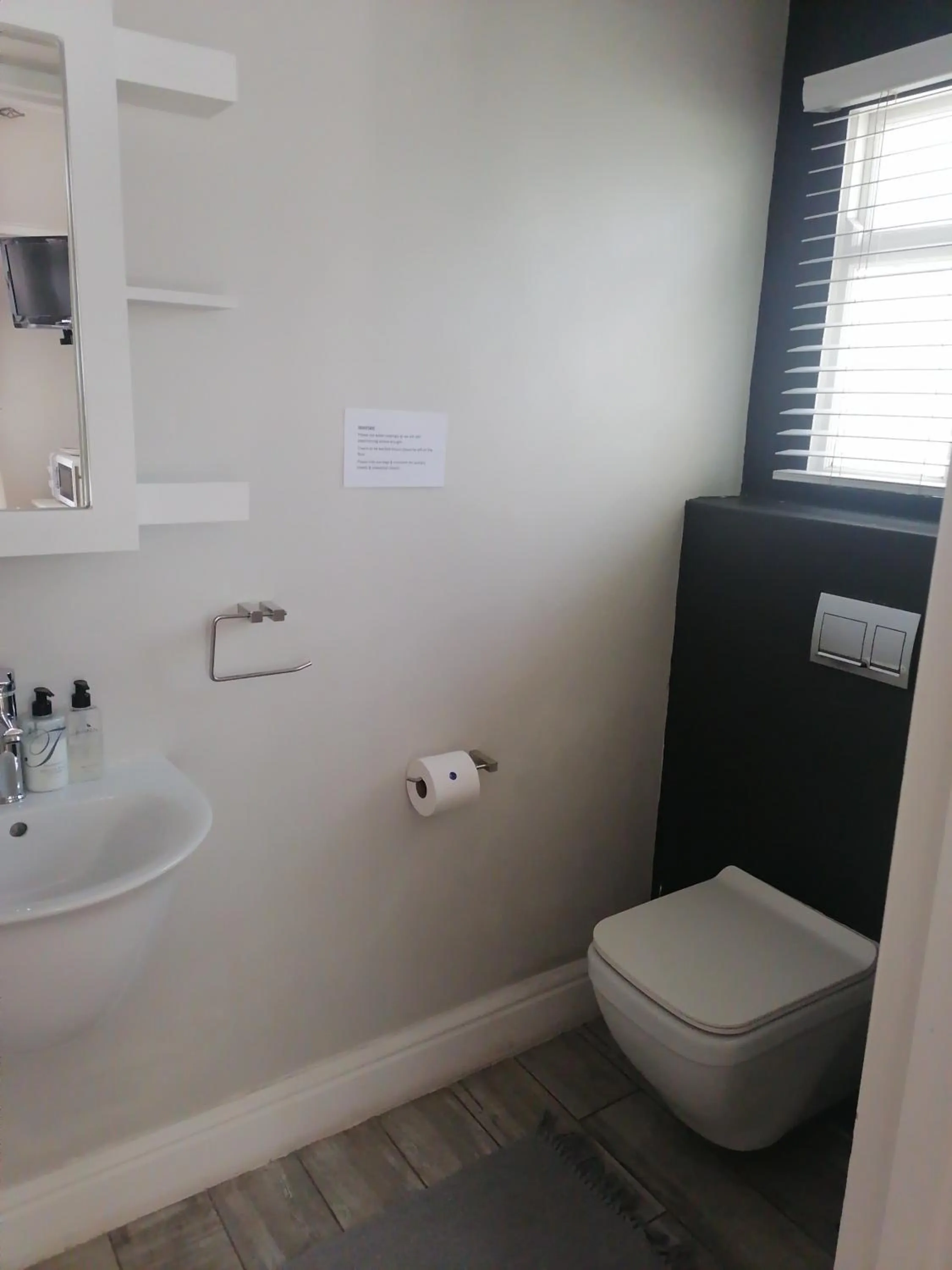 Toilet in Conifer Beach House