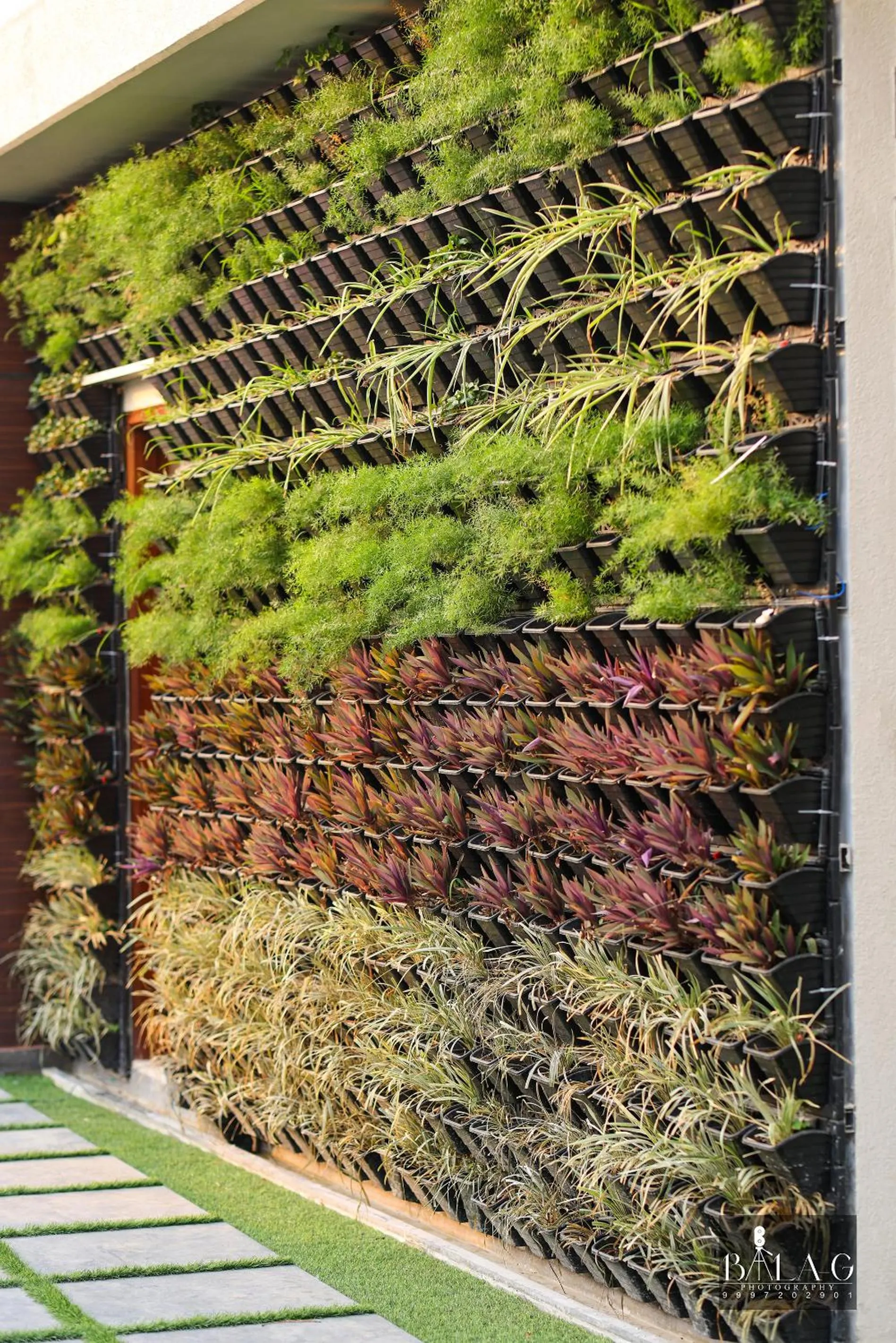 Garden in Hotel Holy Vivasa