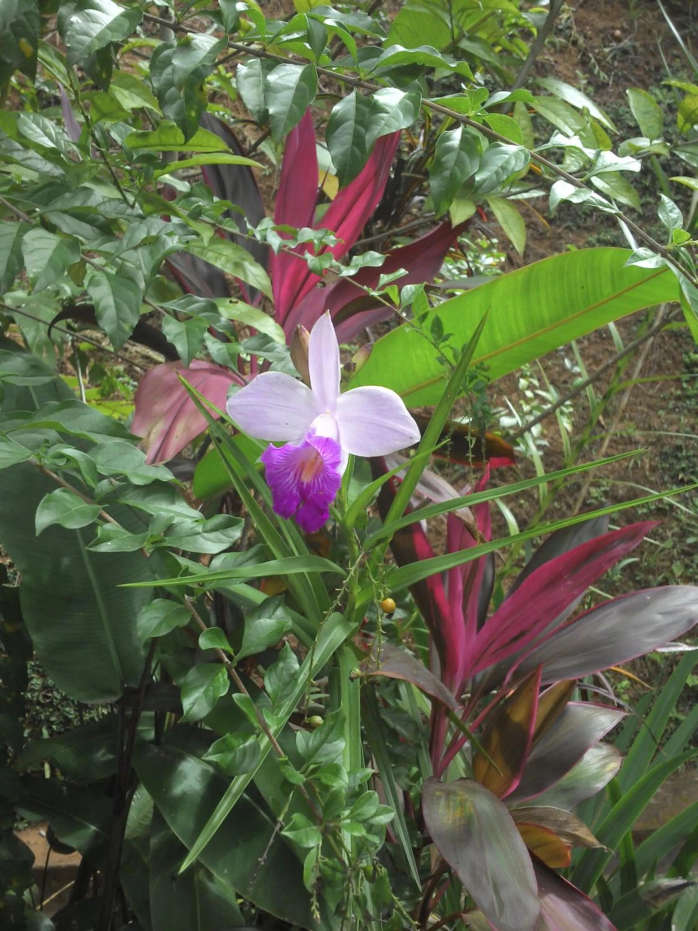 Day in Pousada Pouso do Barão