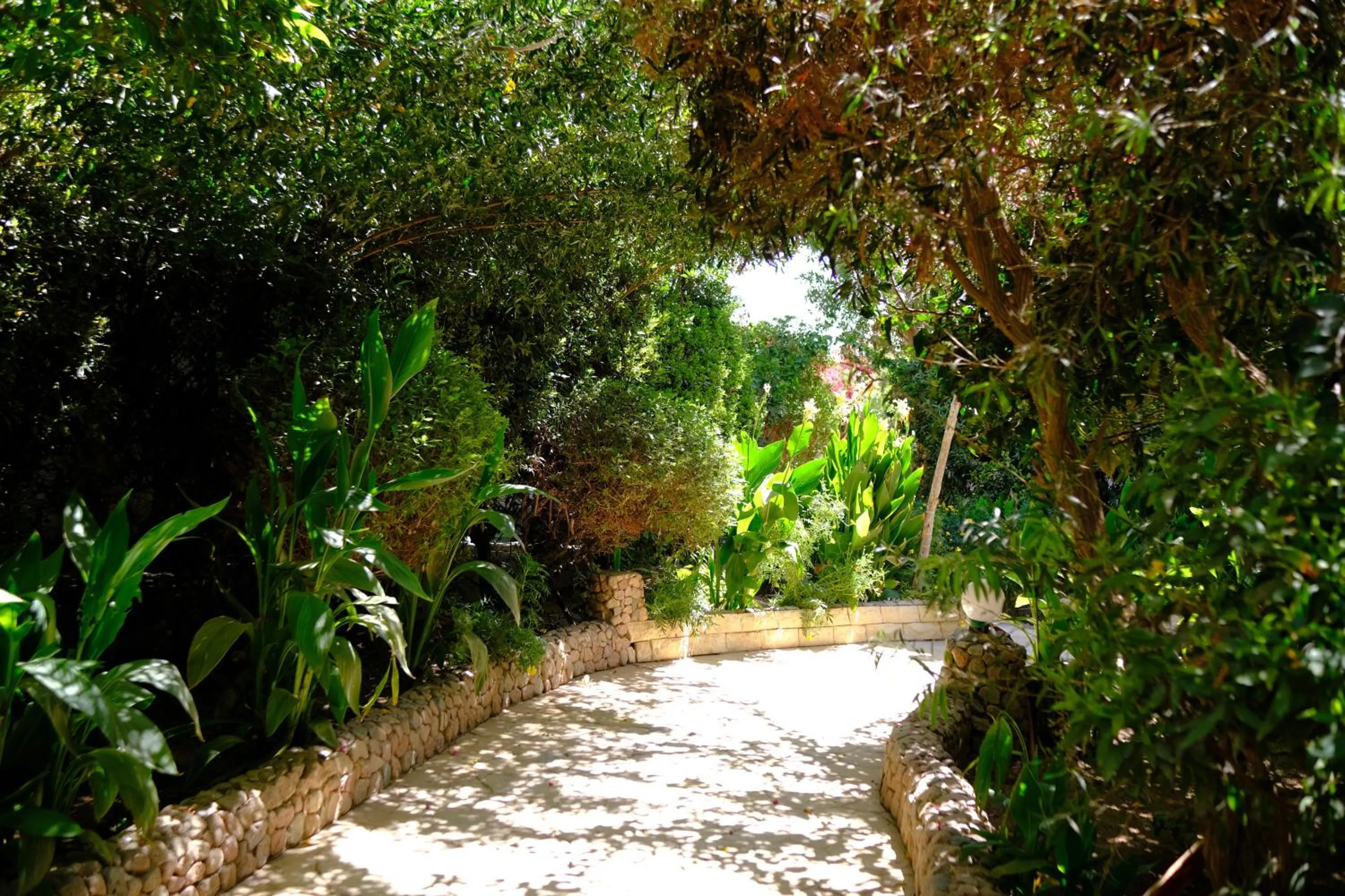 Garden in Viking club hotel