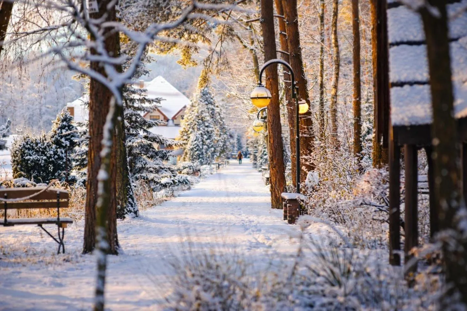 Area and facilities in Malutkie Resort