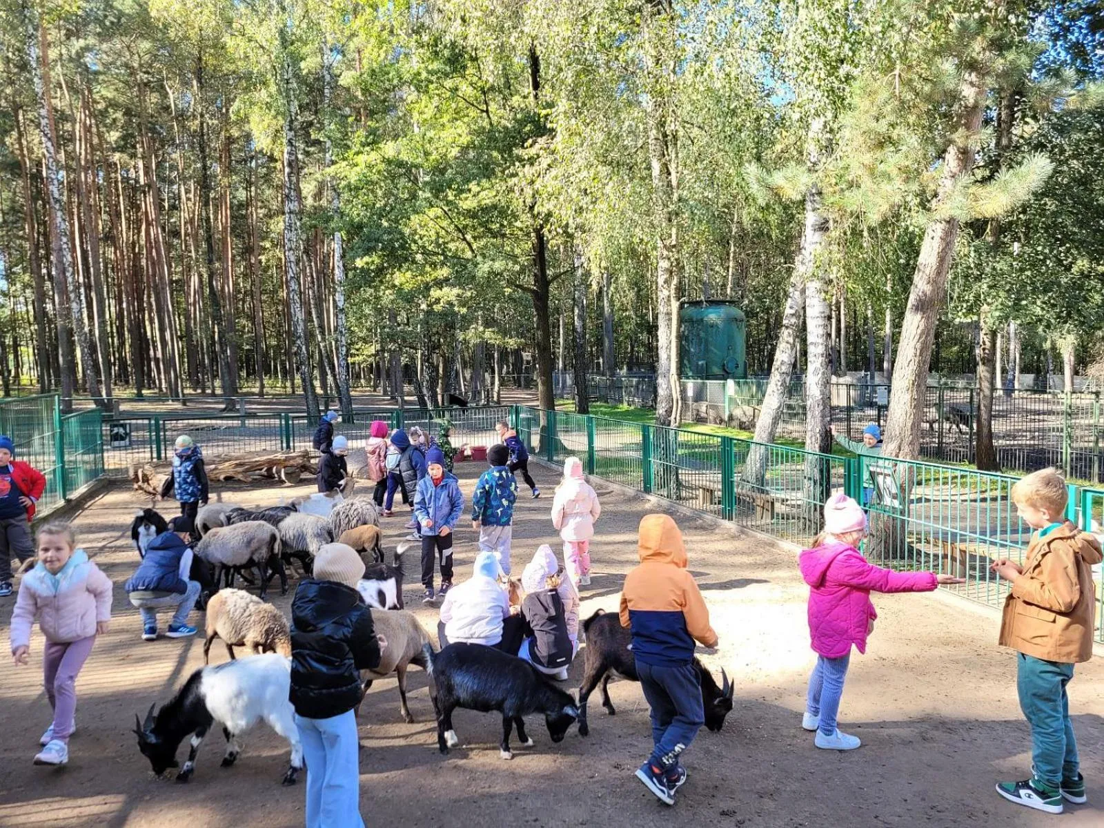 Garden in Malutkie Resort