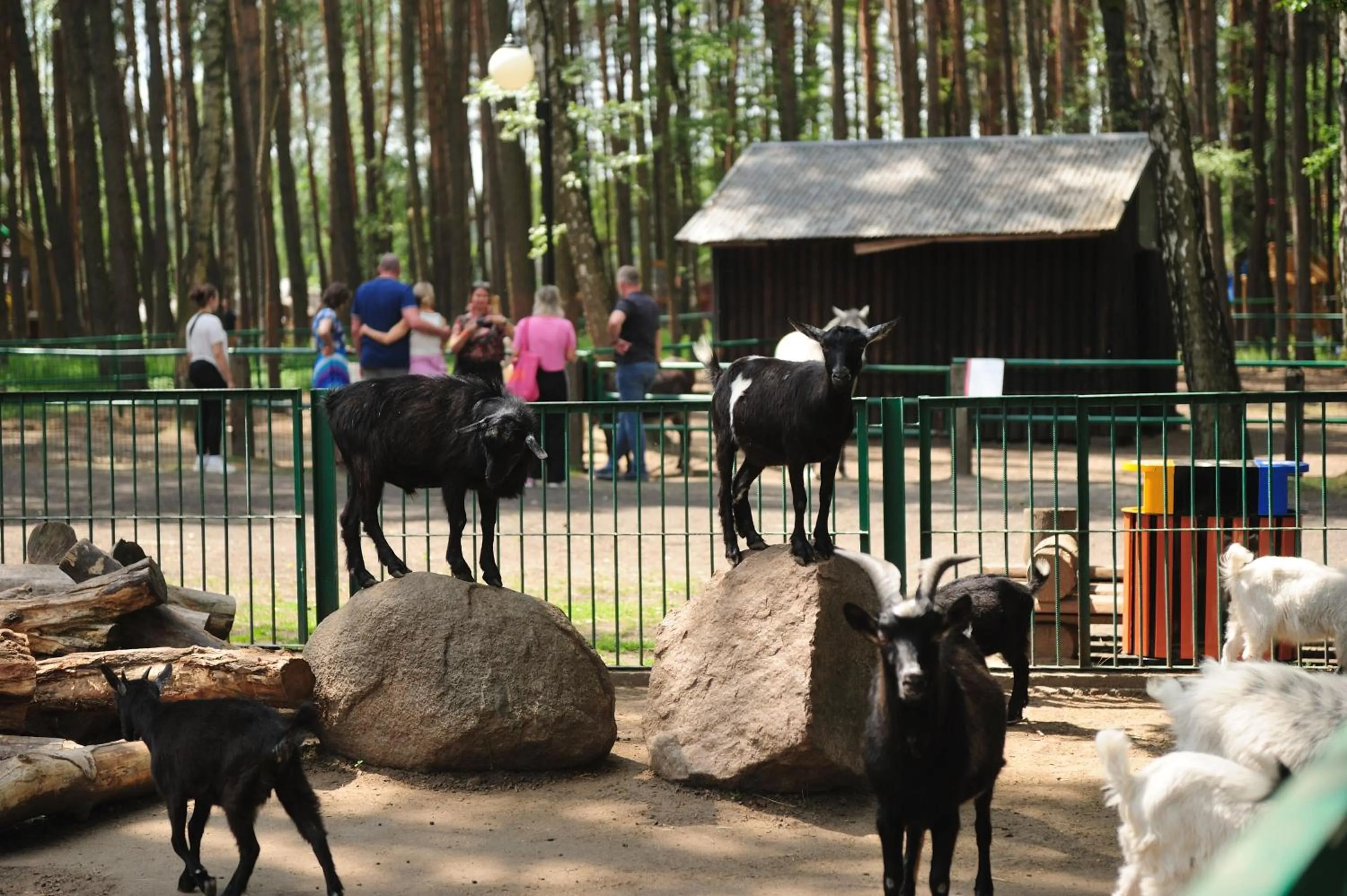 Children play ground in Malutkie Resort